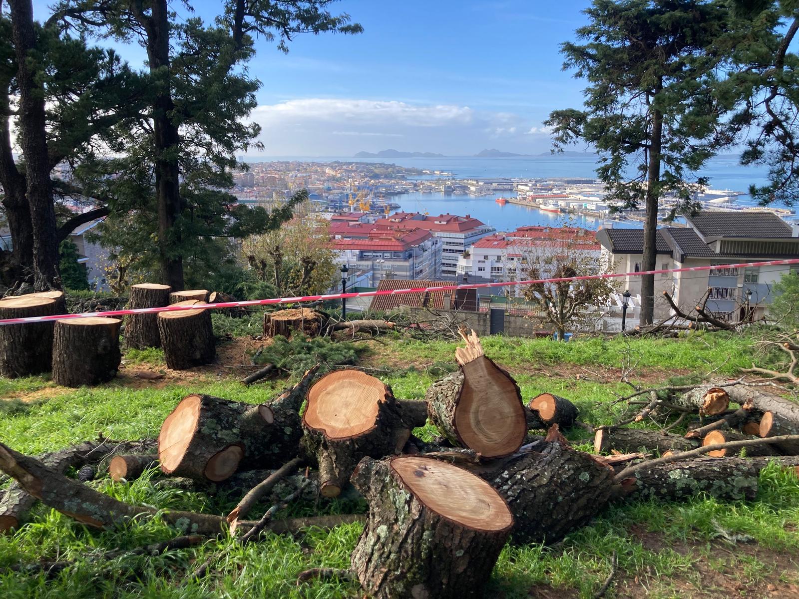 Foto-denuncia de la tala en el Monte do Castro