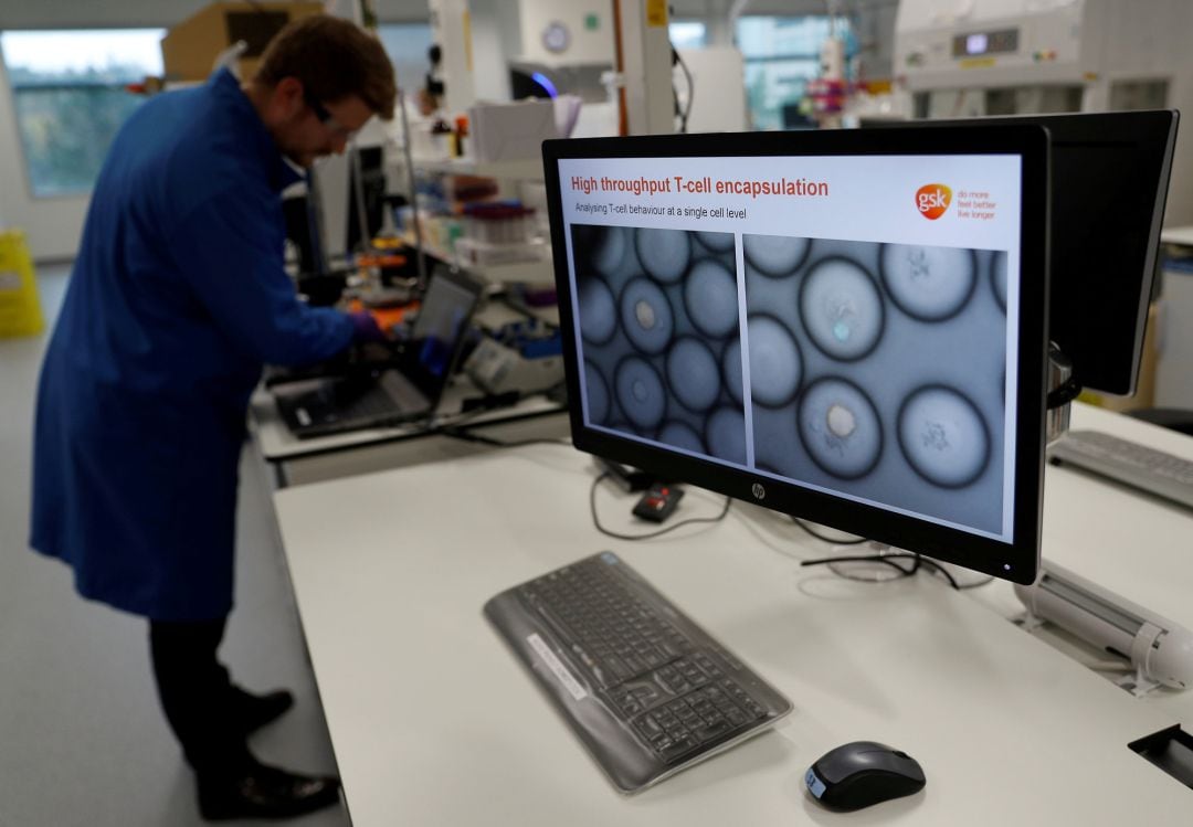 Un grupo de científicos investigan en un laboratorio dedicado a la lucha contra el cáncer. 