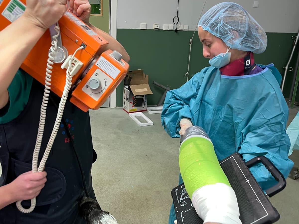 El Hospital Veterinario de la Universidad de León salva la vida a un burro con una cirugía inédita en España