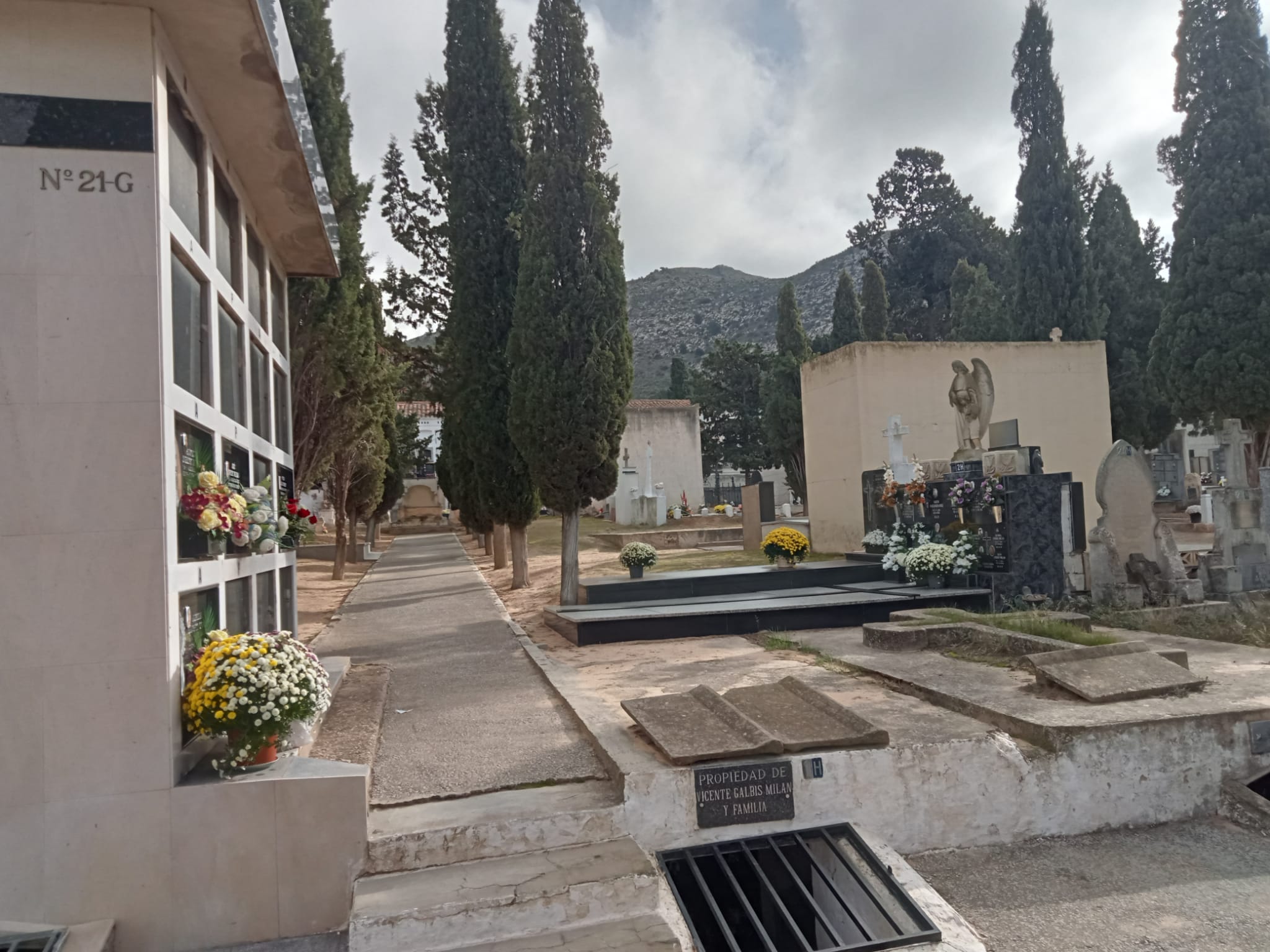 Cementerio municipal Villena
