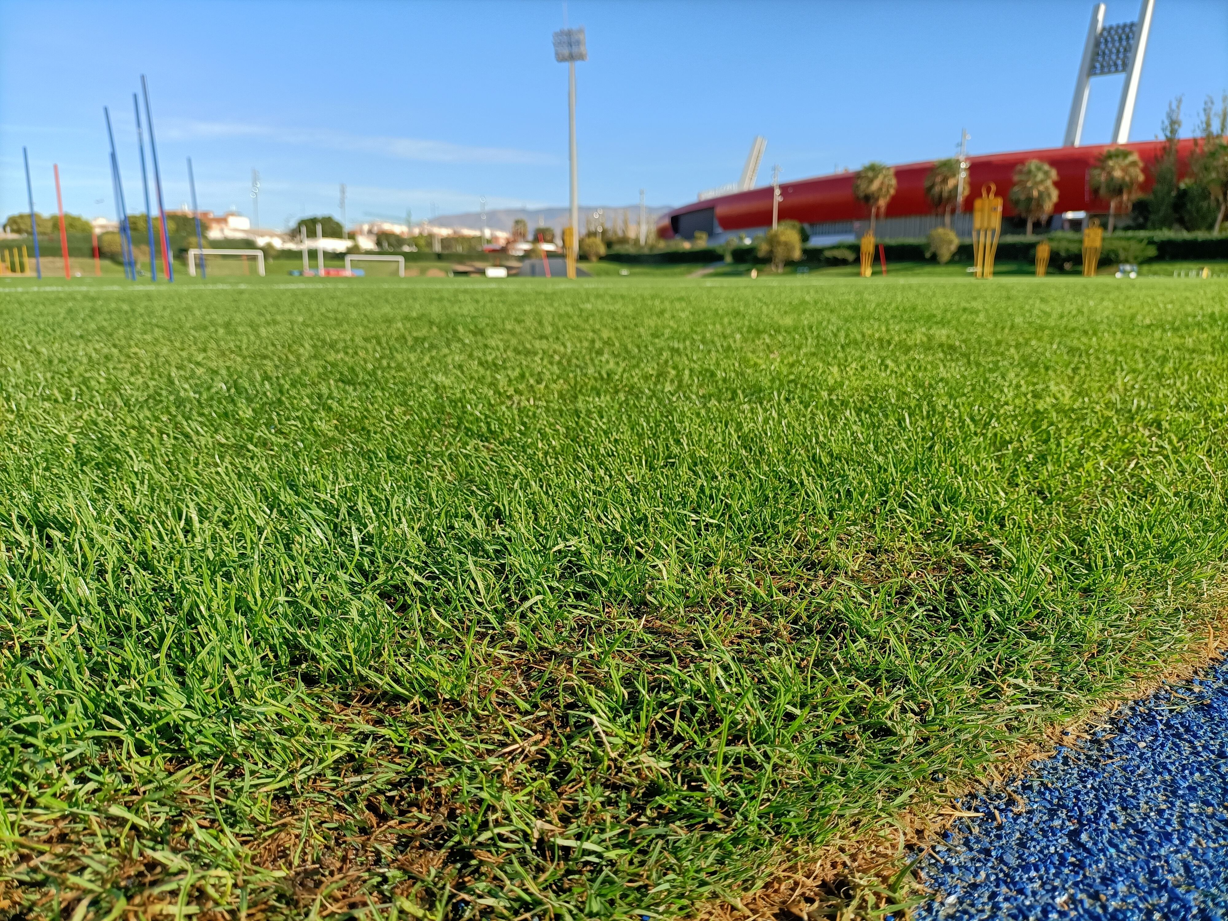 El césped del Anexo que aguantará hasta el próximo verano.