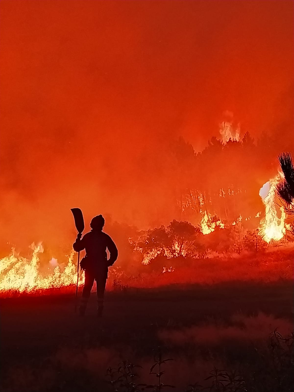 Imagen del incendio de la Sierra de Francia. BRIF.