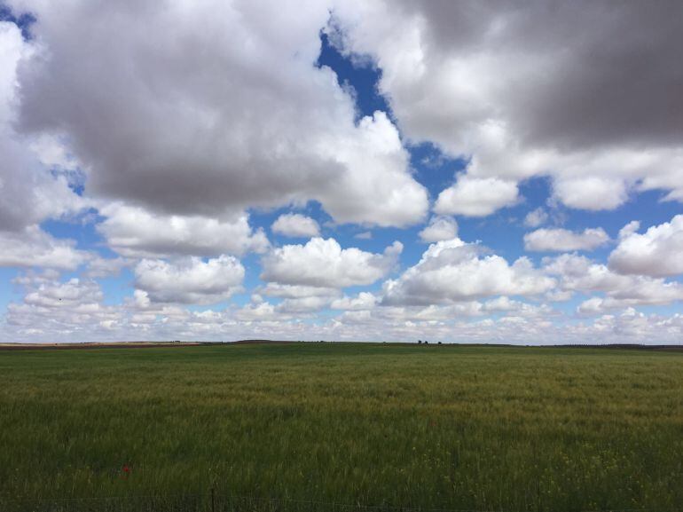 La última granizada no ha afectado al campo