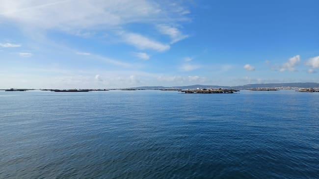 Investigadores de la UA desarrollan una técnica de restauración del bogavante europeo