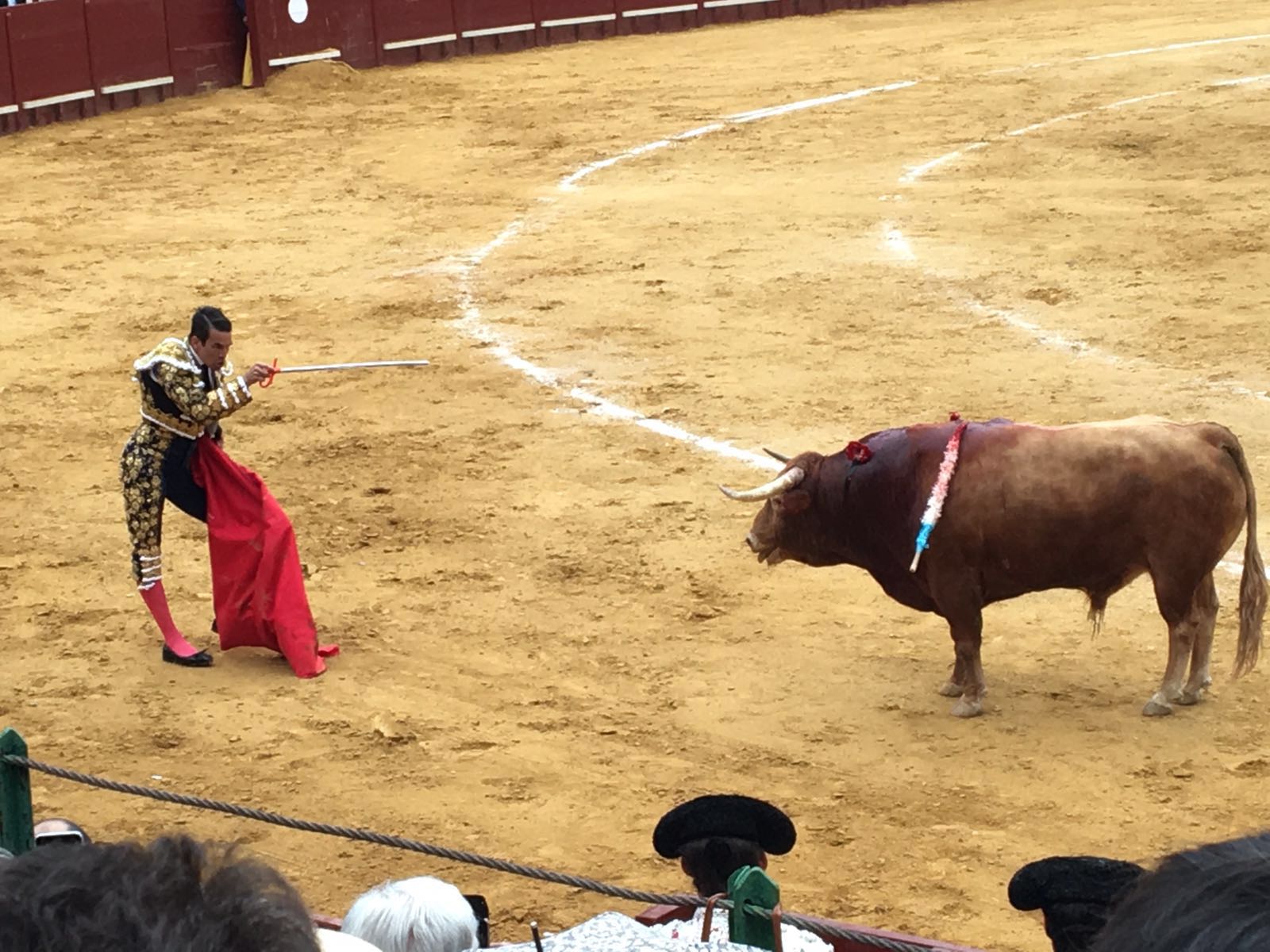 Manzanares en la plaza de Toros de Jerez