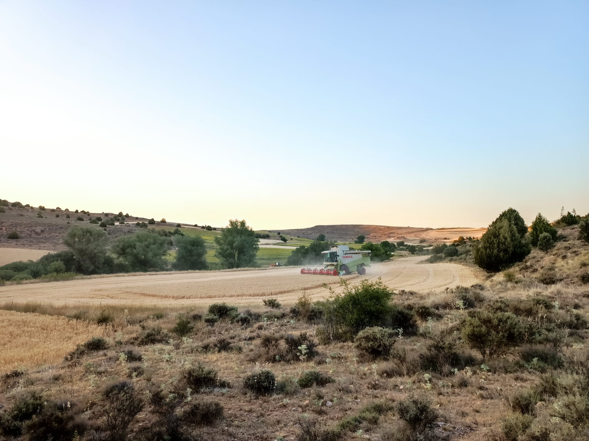 Labores de cosecha en campos de la provincia de Soria.