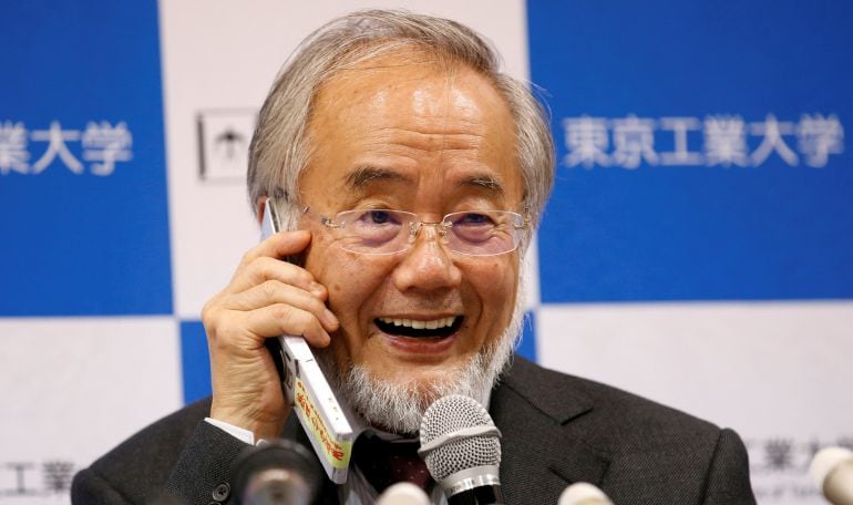 Yoshinori Ohsumi se ha llevado el primer Premio Nobel 2016.