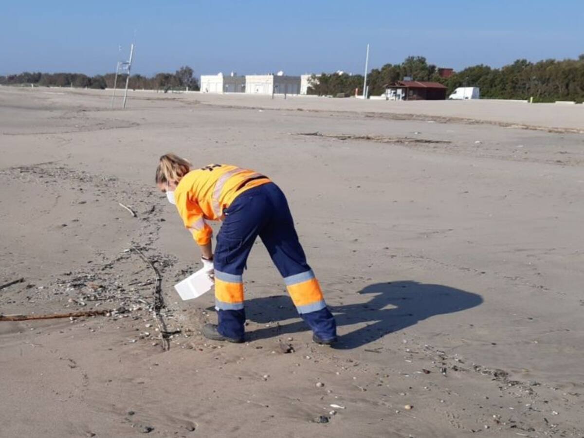 Aumenta la limpieza en las playas de València con el inicio de la temporada alta estival