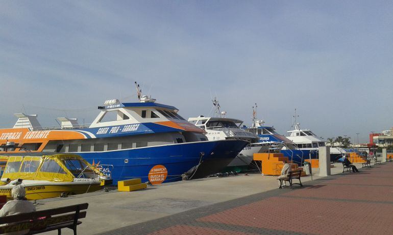 Parte de la flota catamaranes que conectan Santa Pola con Tabarca, sobre todo en verano