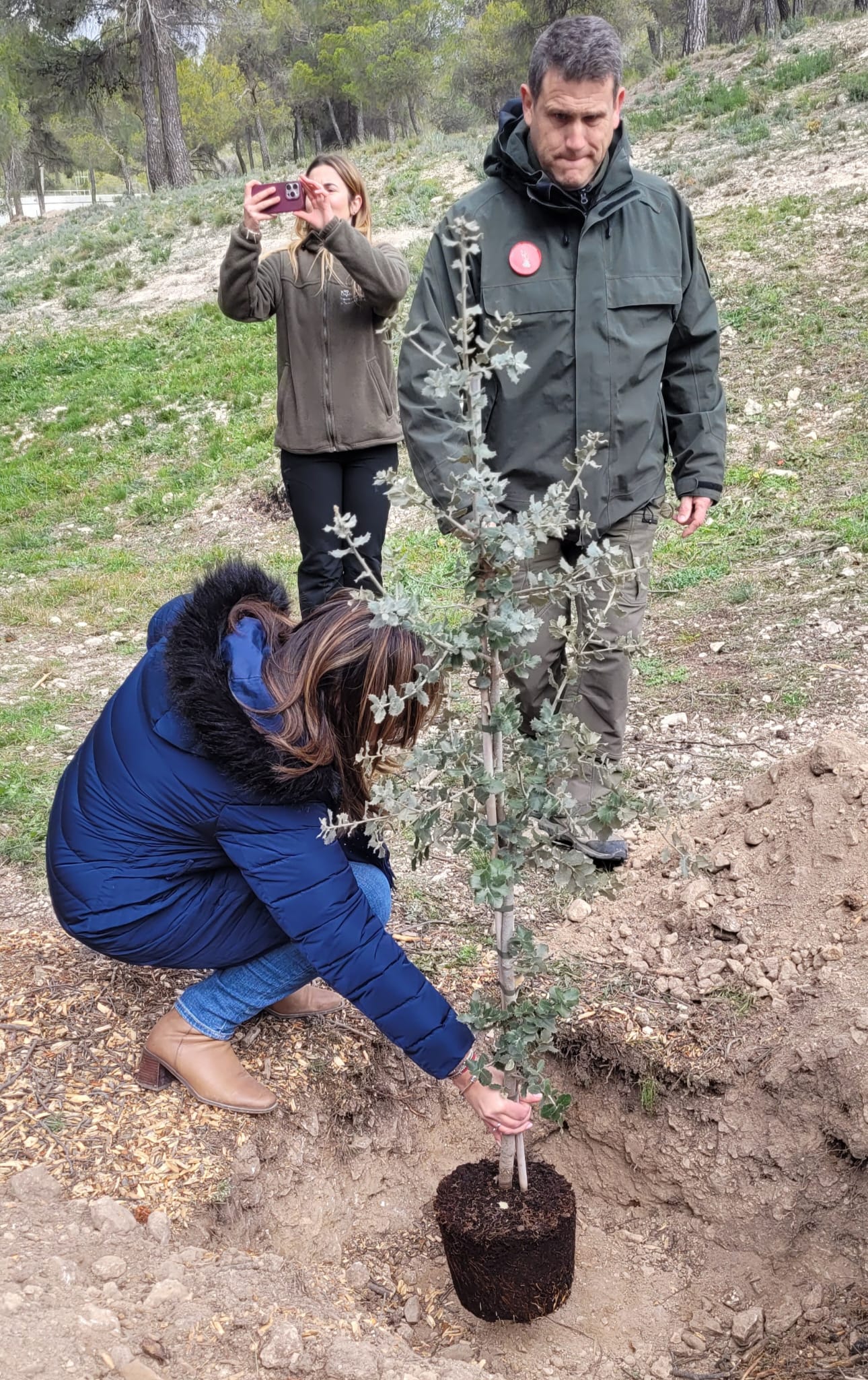 dia del arbol 2025 Biar