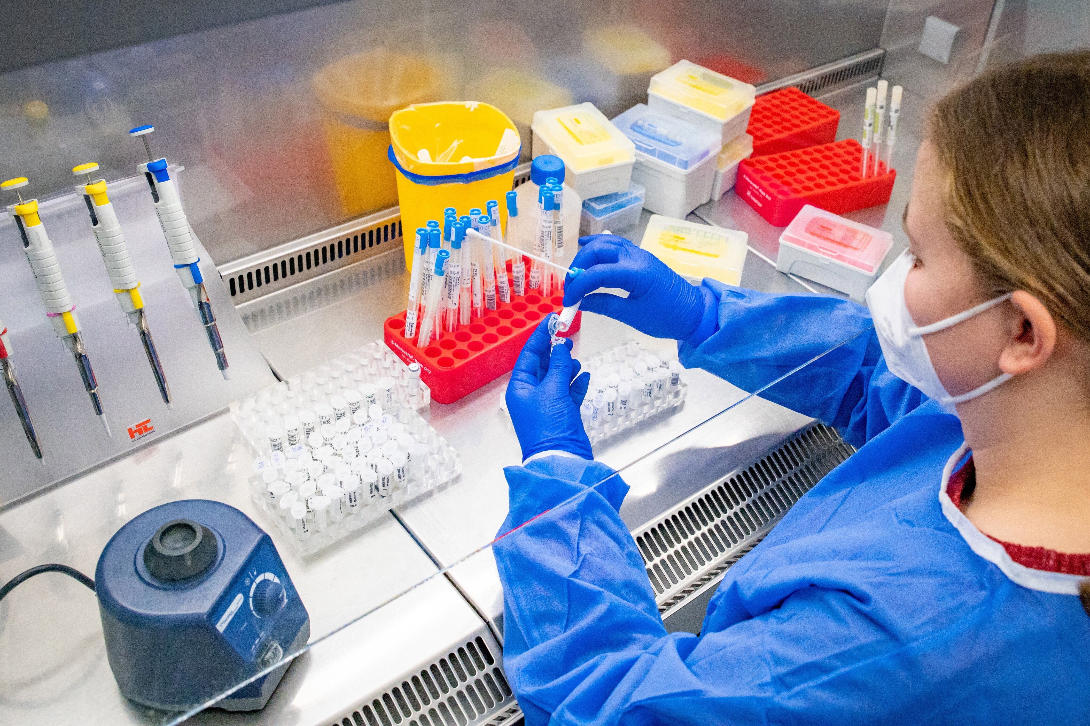 Pruebas PCR en el laboratorio