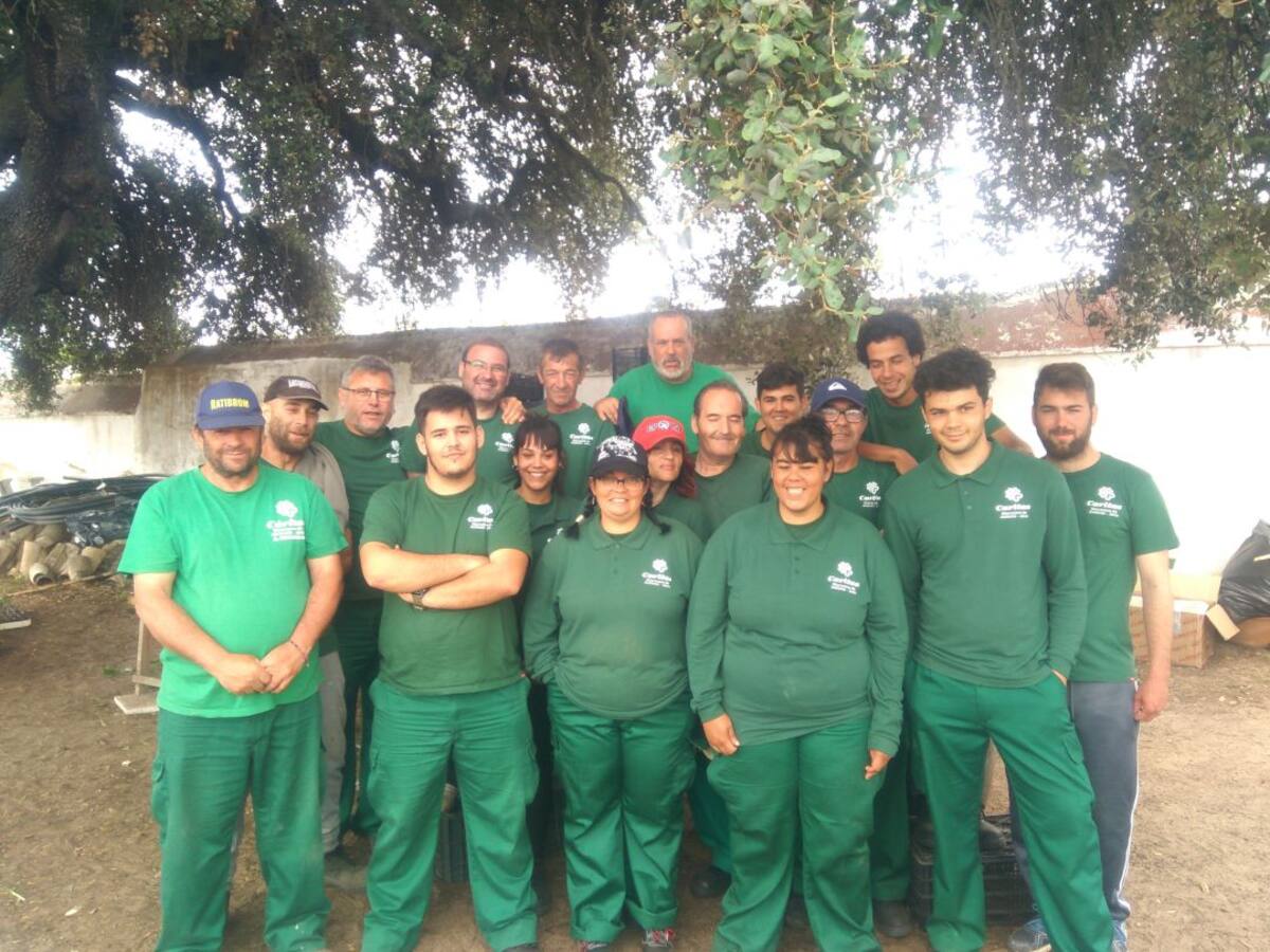 Más de 600 personas recibieron orientación laboral en Cáritas en la Diócesis de Asidonia-Jerez