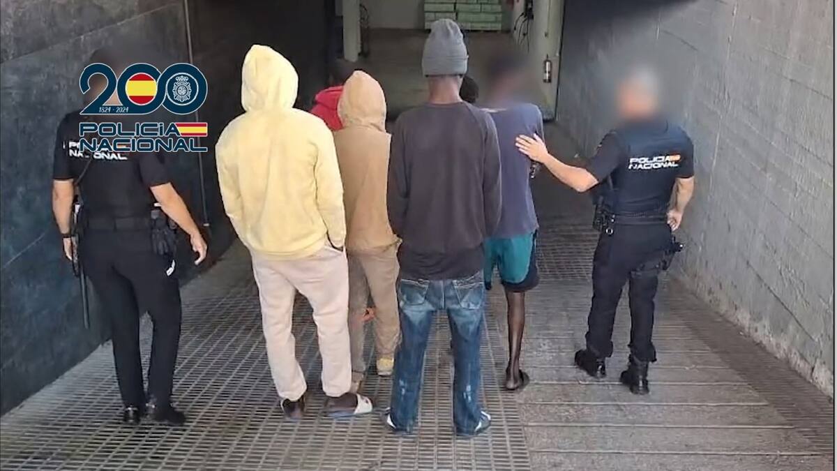 Seis detenidos en Murcia con 13 carros robados y un kilo de marihuana
