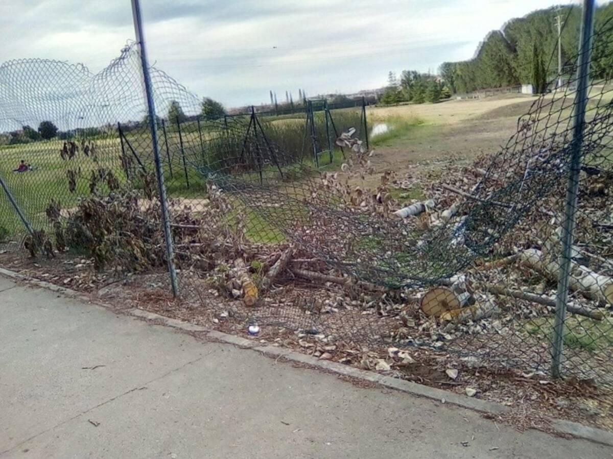 Un vecino coloca carteles alertando del riesgo de caída de árboles en la orilla del río junto al Ribera Sur