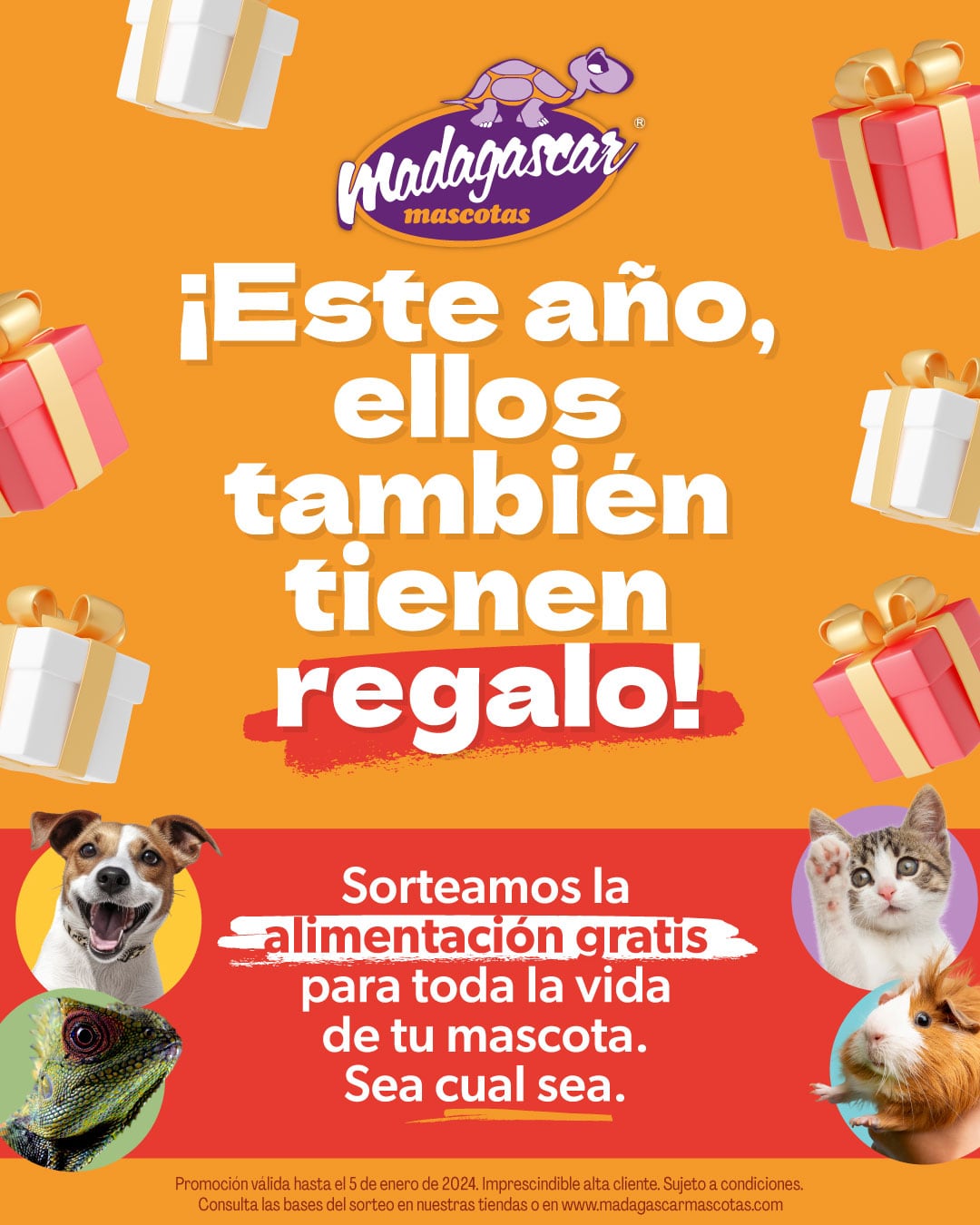 Sorteo de Madagascar Mascotas