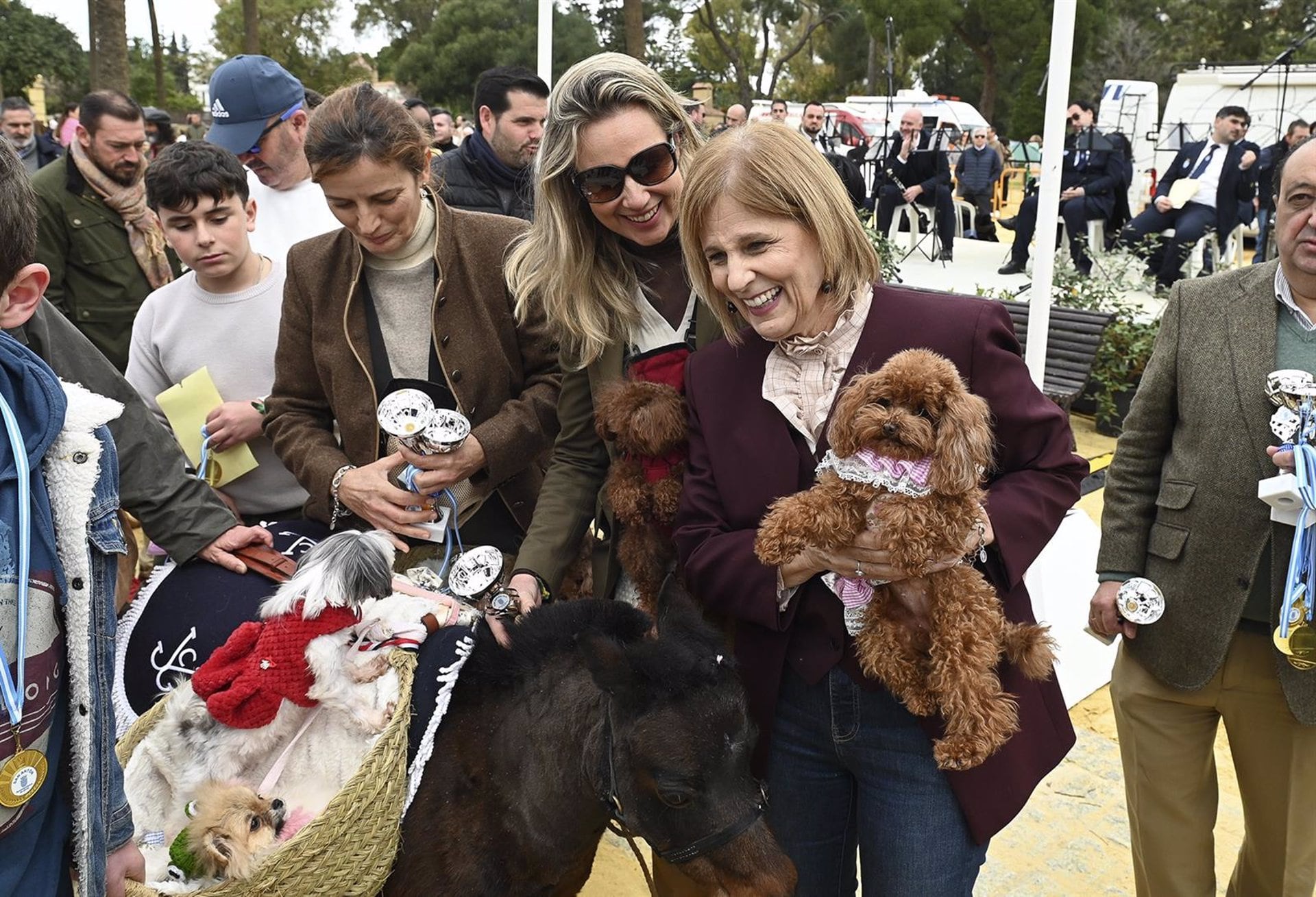 Imagen de la alcaldesa de Jerez, María José García-Pelayo, en la fiesta de San Antón