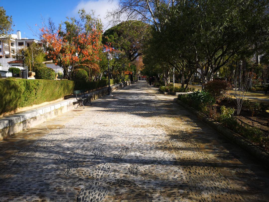 Paseo lateral de la Alameda del Tajo junto a la zona infantil