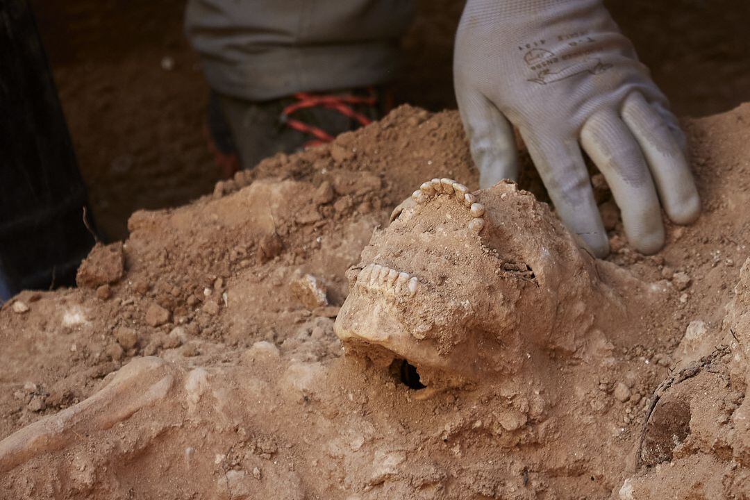 Hallazgos de los huesos encontrados en la búsqueda y exhumación de 21 víctimas de la dictadura franquista inhumadas en la fosa Nº 3 del cementerio civil de Guadalajara, en Guadalajara, Castilla La-Macha, (España), a 3 de octubre de 2020. Este proyecto de intervención viene a petición de diez familias de varios de los 21 hombres fusilados entre el 24 de febrero el 9 de marzo de 1940 en inhumados en la fosa Nº 3 del Patio civil del Cementerio de Guadalajara. Sus familiares han presentado una reclamación a la Asociación para la Recuperación de la Memoria Histórica (ARMH), con el fin de conocer las circunstancias de la muerte, la localización y recuperación de sus restos.