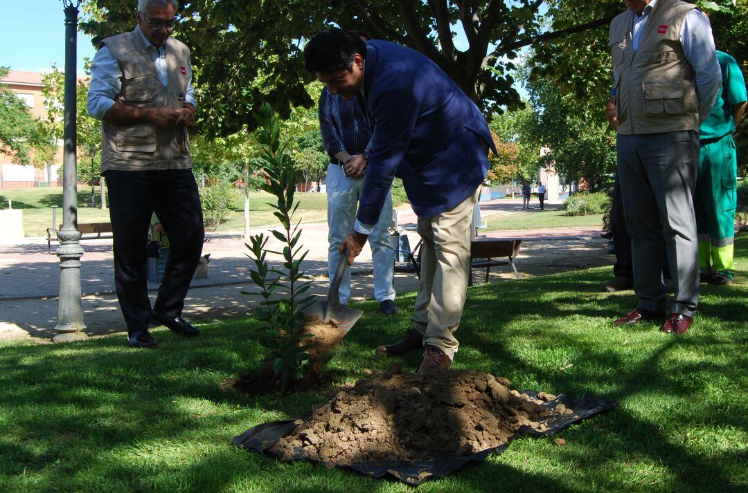 A pie de calle Madrid Oeste 17-09-2018 – Recuperación de madroños