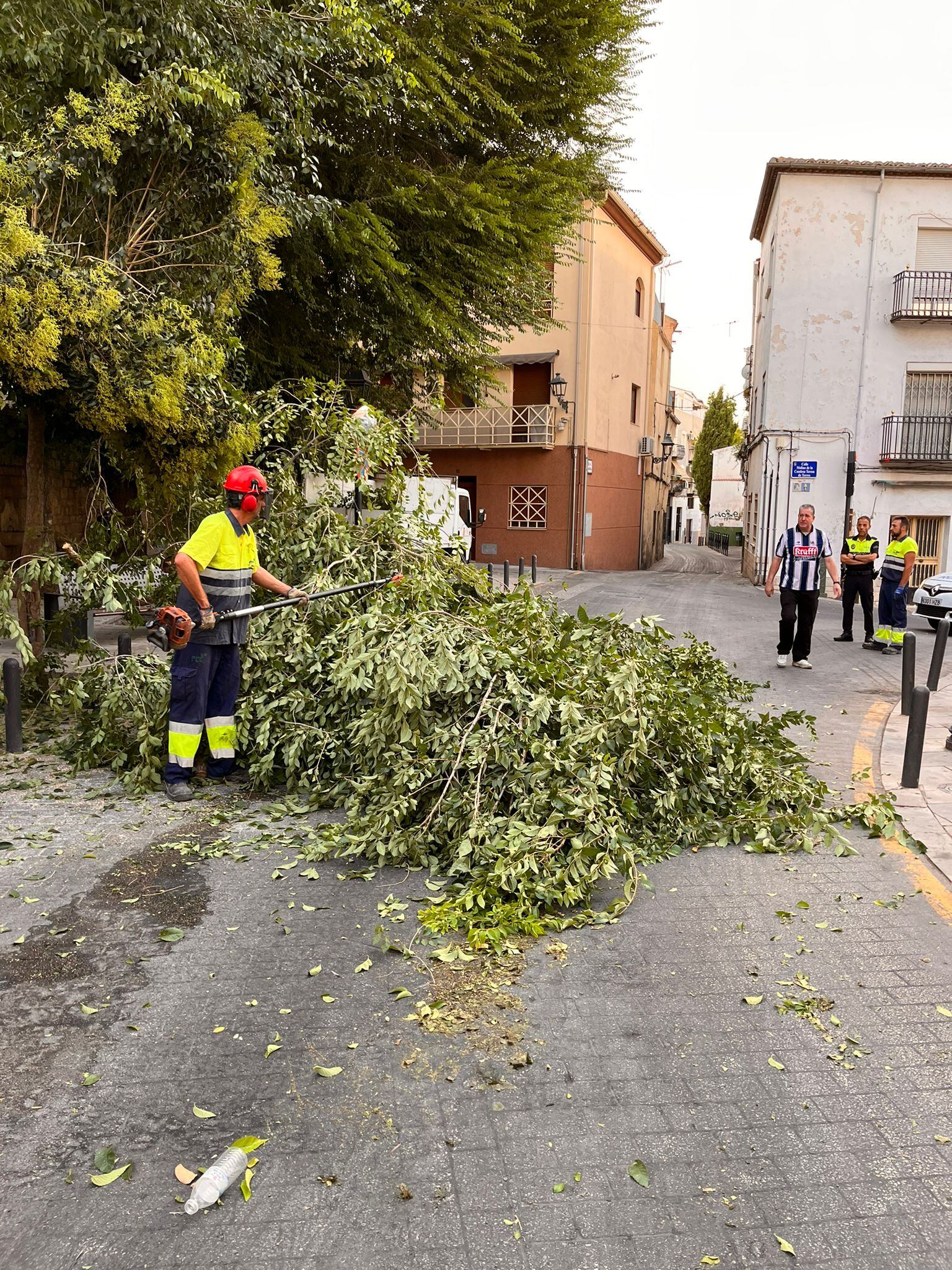 Personal de FCC retirando ramas caídas en el barrio de La Magdalena.