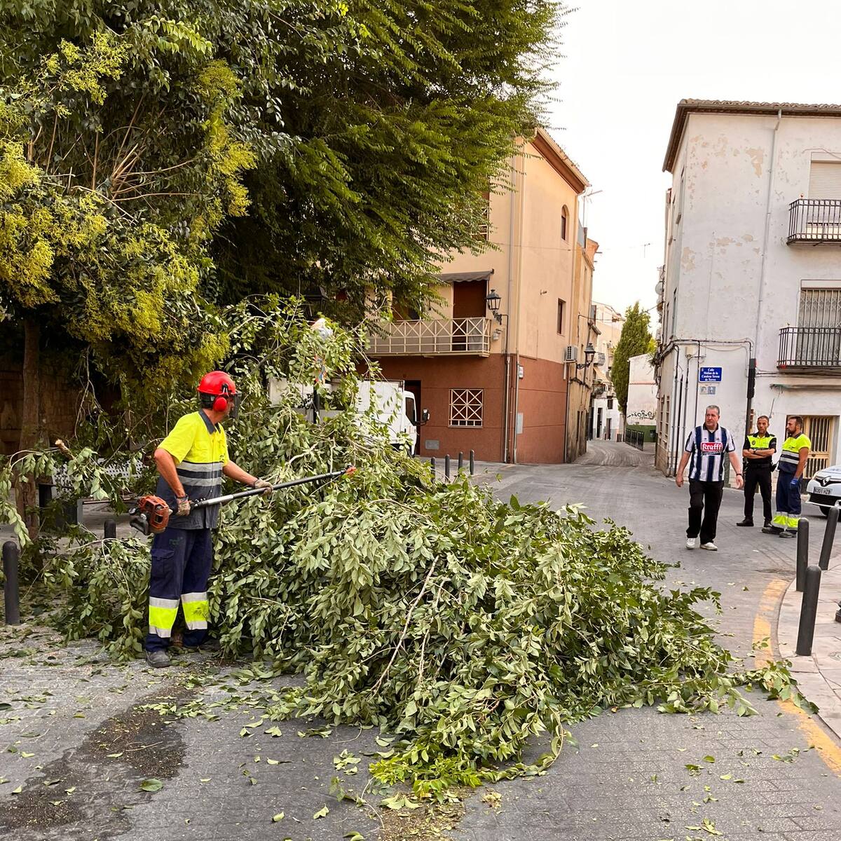 Puesta a punto de la capital tras la caída de ramas derivada de las fuertes rachas de viento