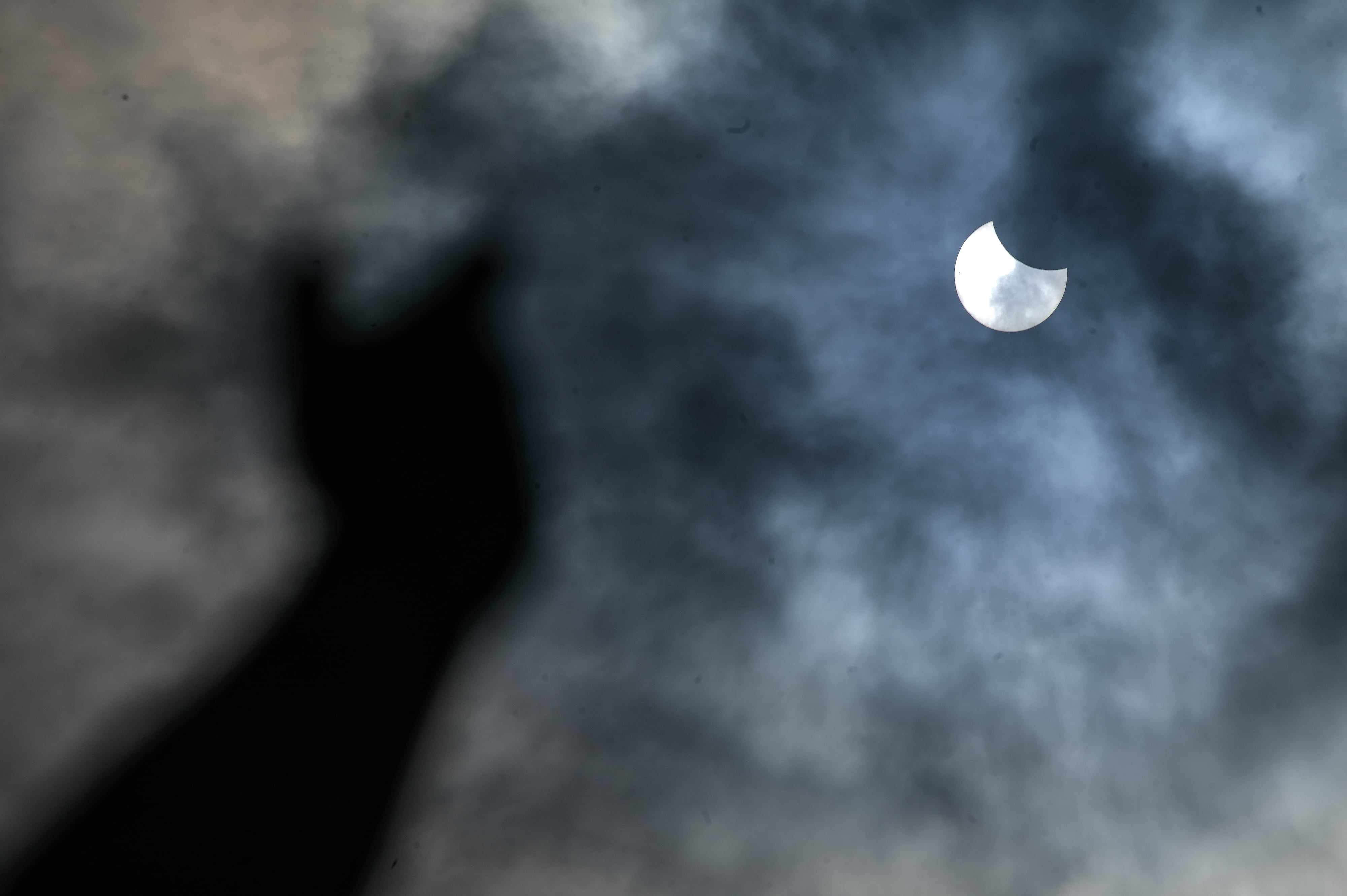 Eclipse visto desde el Cementerio Municipal de San Amaro, el 29 de marzo de 2025 en A Coruña, Galicia. M. Dylan / Europa Press.