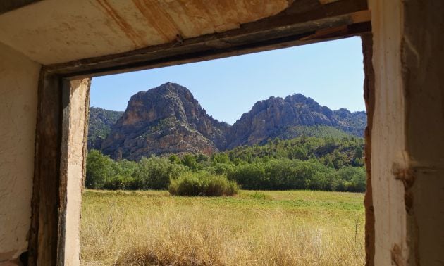 Vemos por aquí el paisaje típico de la Manchuela con olivos y campos de cultivo.