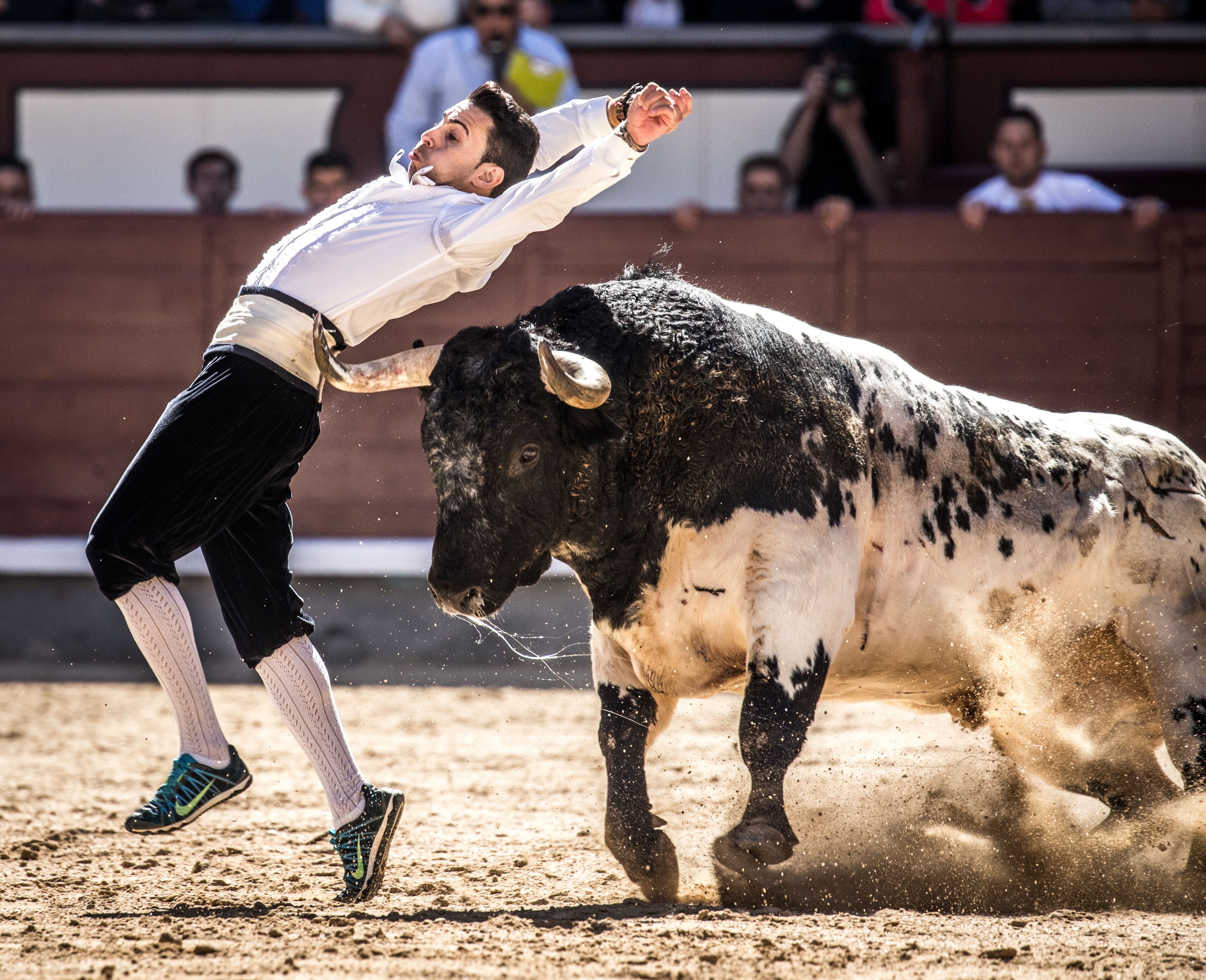 El concurso de recortes inaugura la Feria de la Comunidad en Las Ventas