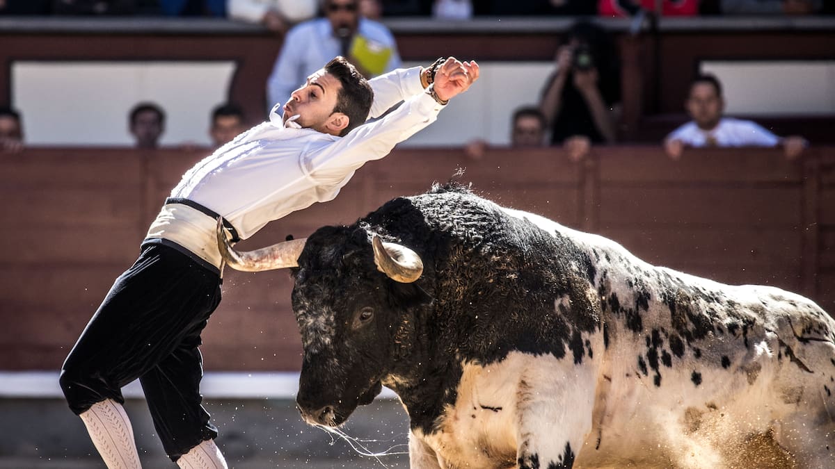 Jesús Muñoz, vicepresidente de la Asociación Parla Taurina repasa los participantes en el concurso de recortes de este viernes