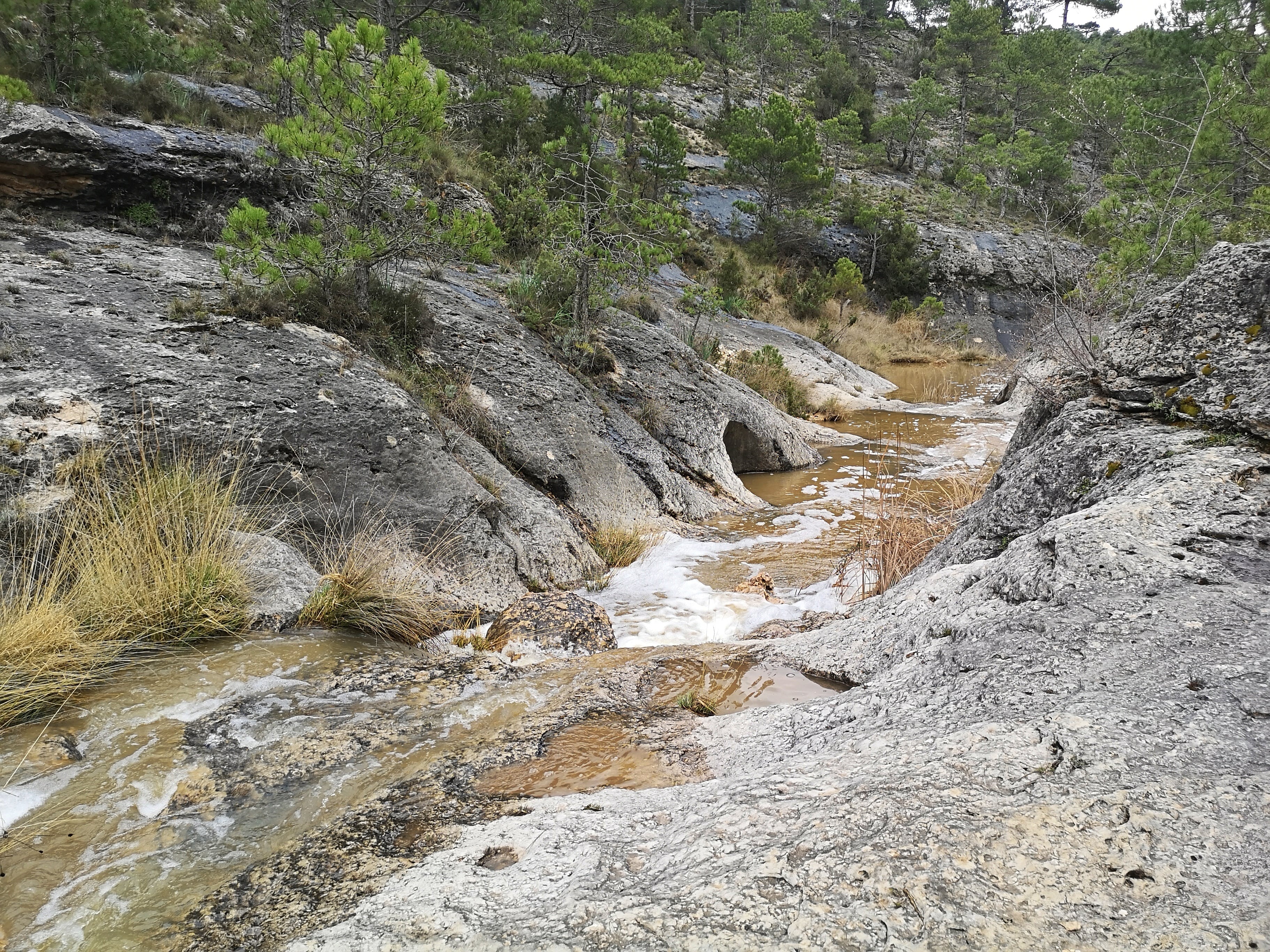 Arroyo de la Rambla, en Palomera.