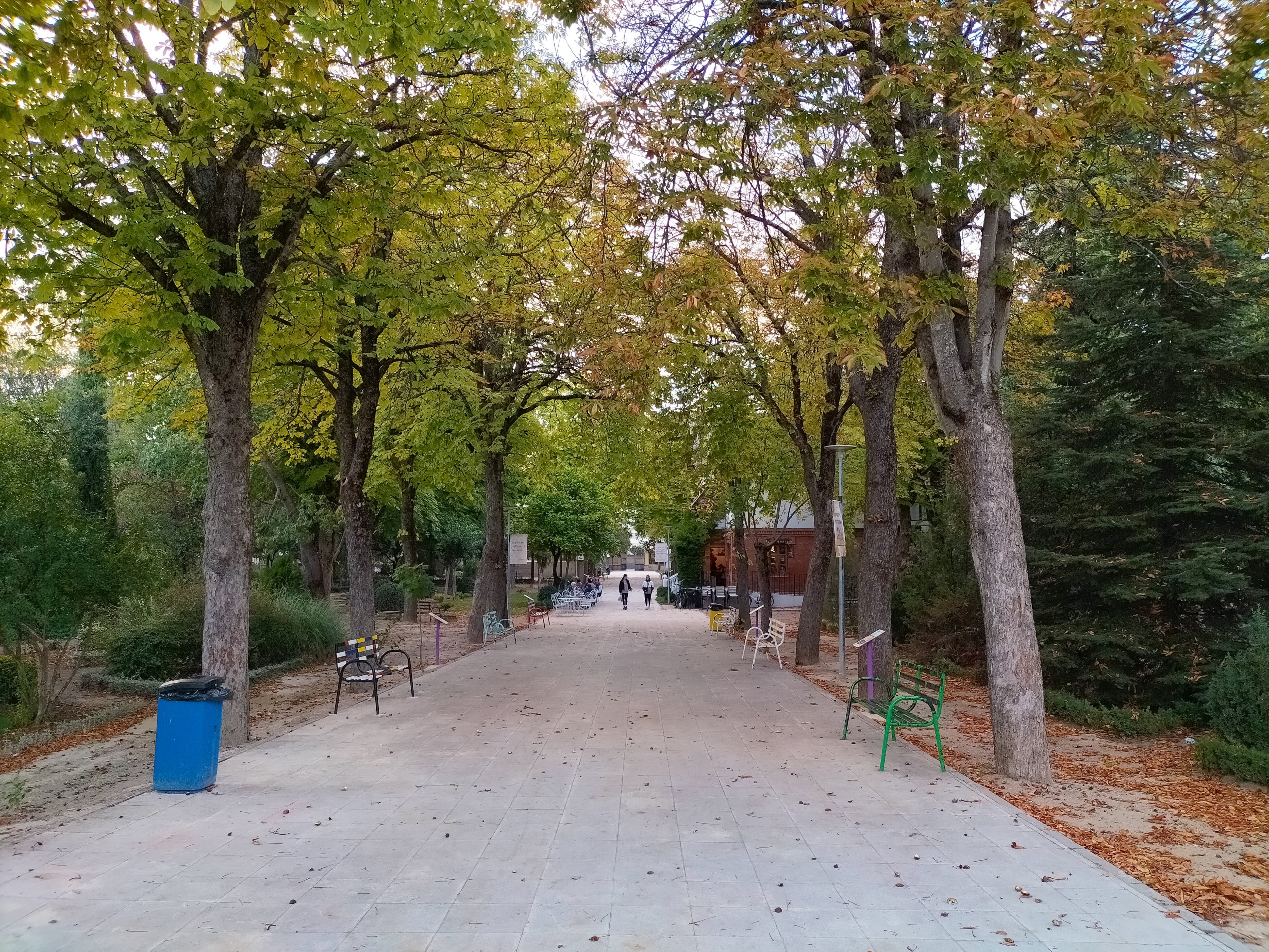 Baeza cierra los parques Leocadio Marín y Patrimonio de la Humanidad ante la alerta amarilla por viento y lluvia