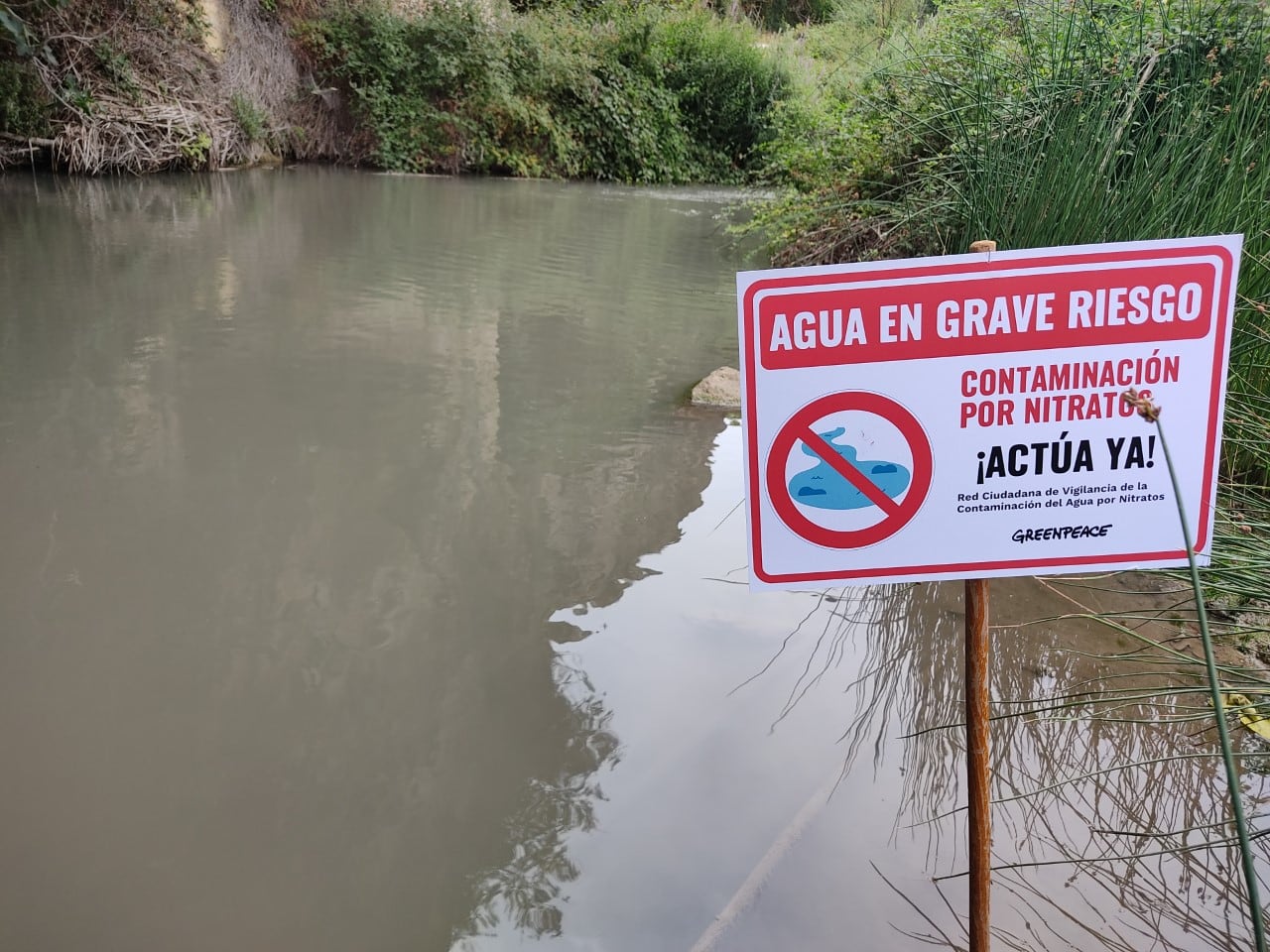 Río Quipar a su paso junto a la Cueva Rey Moro