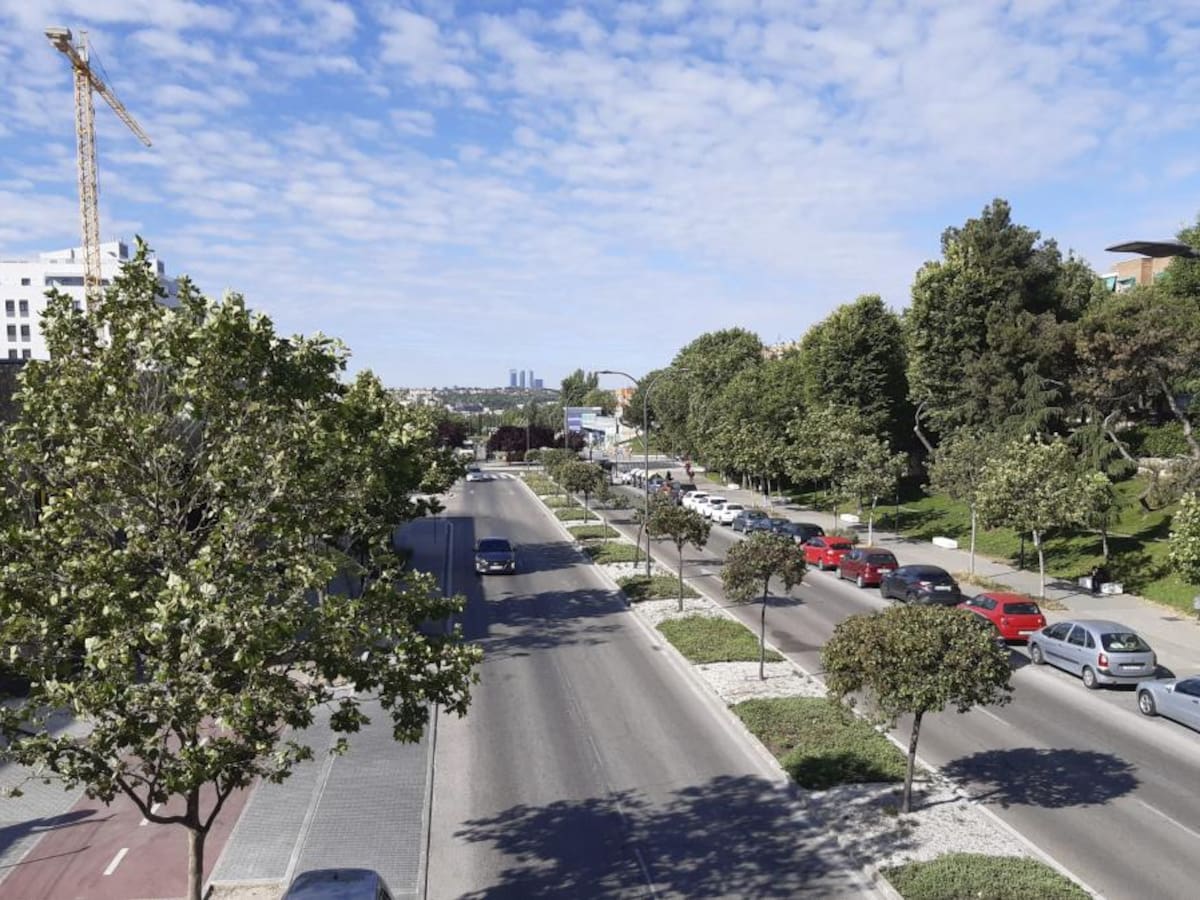 Sanse ejecutará en marzo el 'Plan de Intervención Estratégica en Infraestructura Viaria y Accesibilidad Universal'