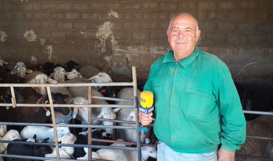 Sus ovejas y la radio le acompañan cada jornada