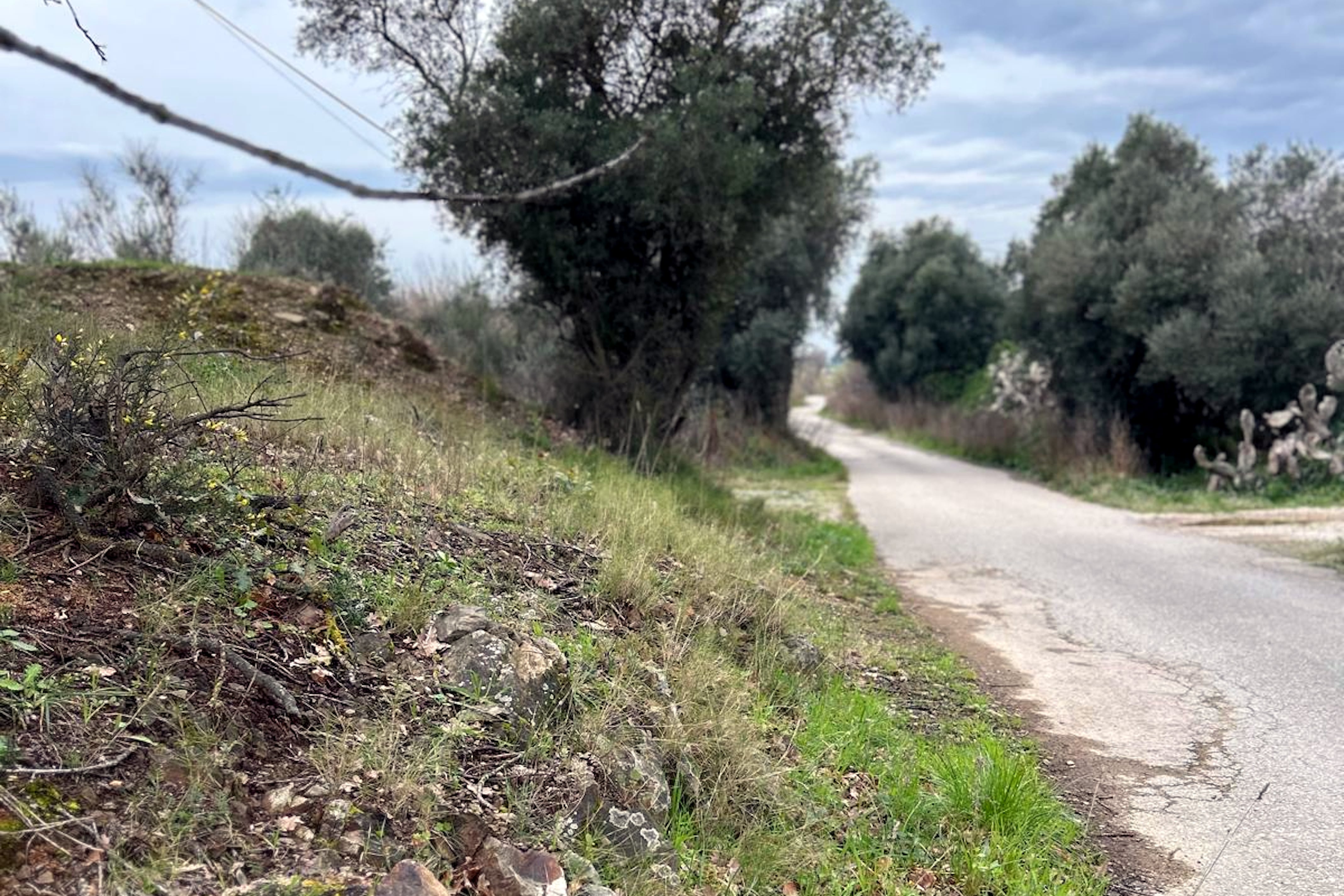 La zona de Roses on s&#039;ha trobat el cadàver