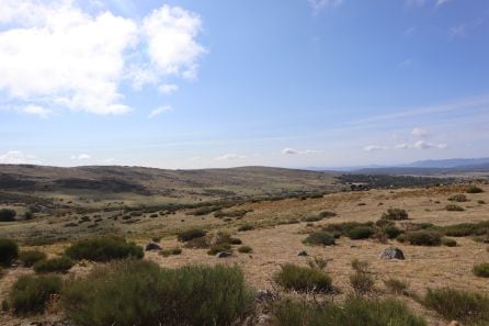 Paraje de Los Manchos donde están los terrenos en los que se proyecta la planta fotovoltaica