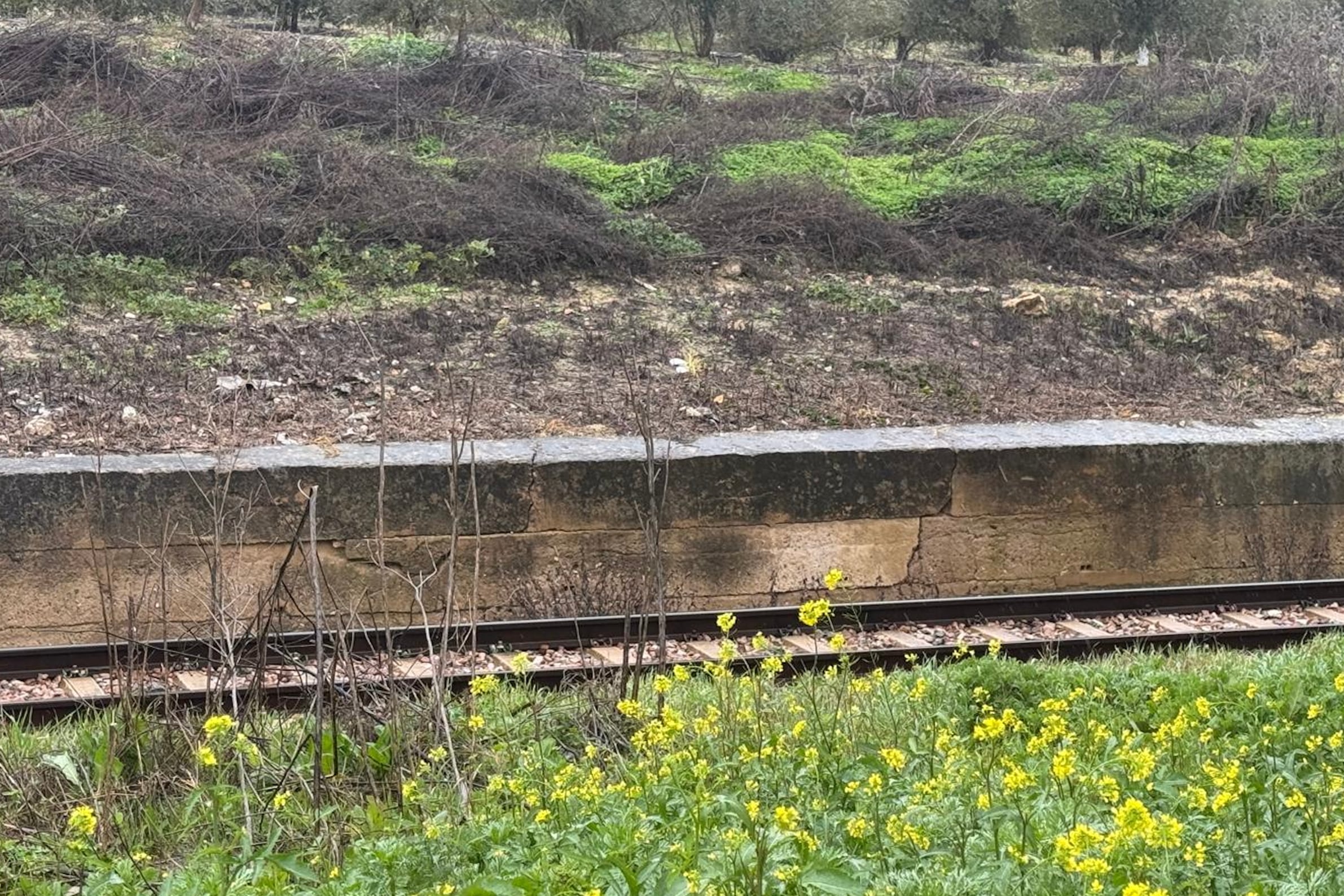 ARAHAL (SEVILLA), 25/01/2026.- Imagen del muro en peligro de desprenderse que ha provocado el corte del tráfico ferroviario entre Arahal y Marchena (Sevilla), lo que hace que esté interrumpida la circulación de Media Distancia entre la capital sevillana y Málaga desde la mañana de este domingo. EFE/Fermín Cabanillas