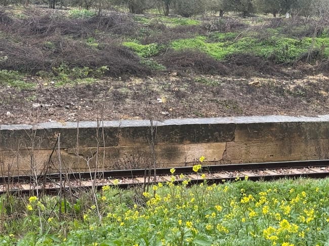 ARAHAL (SEVILLA), 25/01/2026.- Imagen del muro en peligro de desprenderse que ha provocado el corte del tráfico ferroviario entre Arahal y Marchena (Sevilla), lo que hace que esté interrumpida la circulación de Media Distancia entre la capital sevillana y Málaga desde la mañana de este domingo. EFE/Fermín Cabanillas
