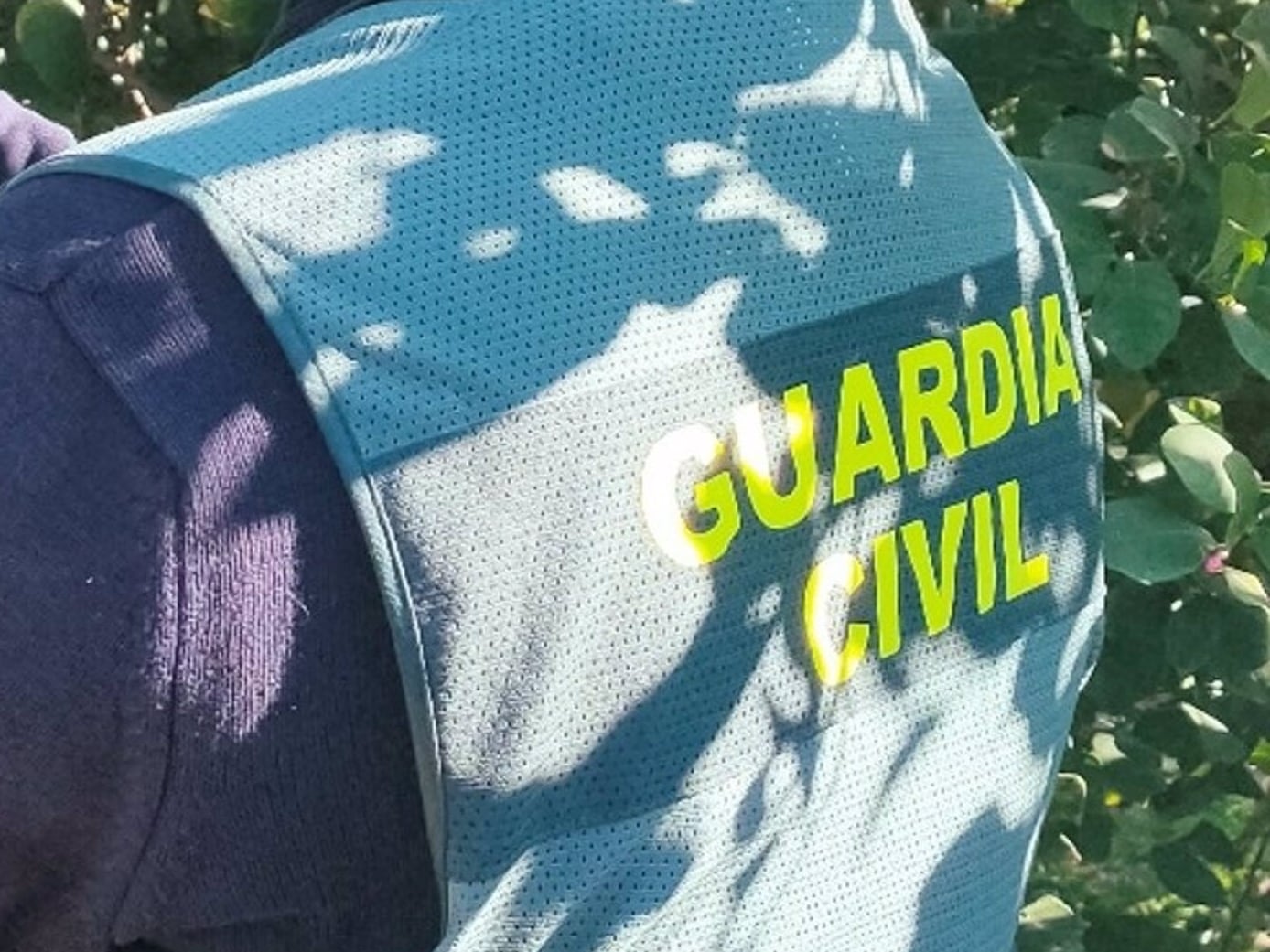 21/02/2023 Agente de la Guardia Civil en un campo de limones
COMUNIDAD VALENCIANA ESPAÑA EUROPA ALICANTE SOCIEDAD
GUARDIA CIVIL
