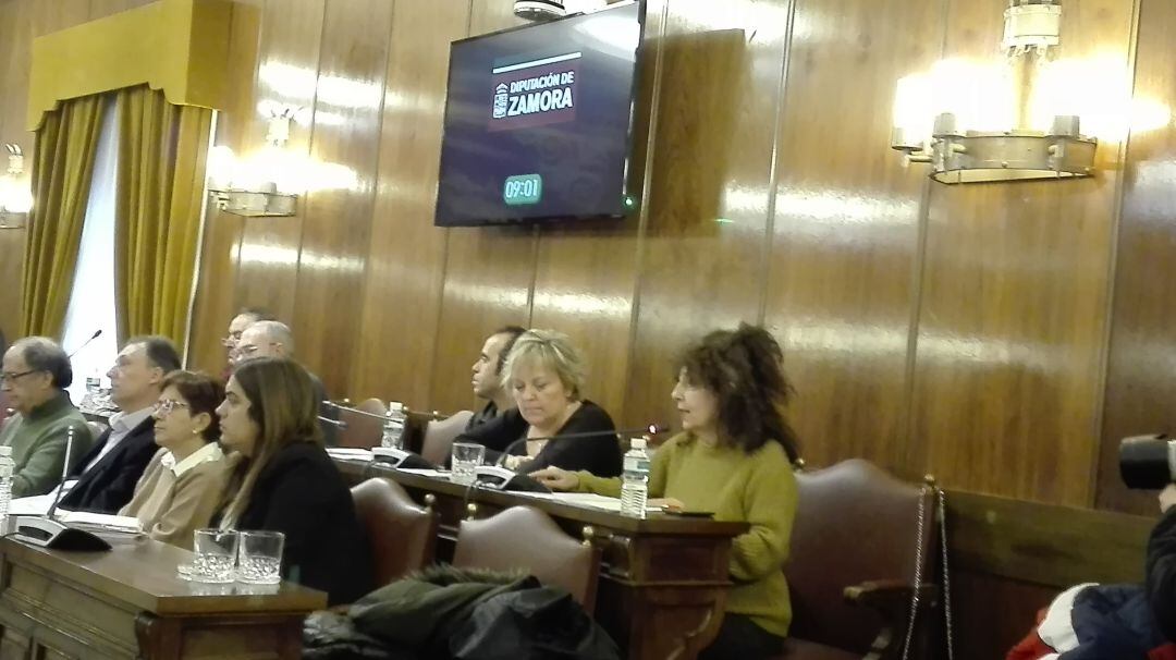 La portavoz de IU en la Diputación Provincial, Laura Rivera, interviene en el pleno de la institución 