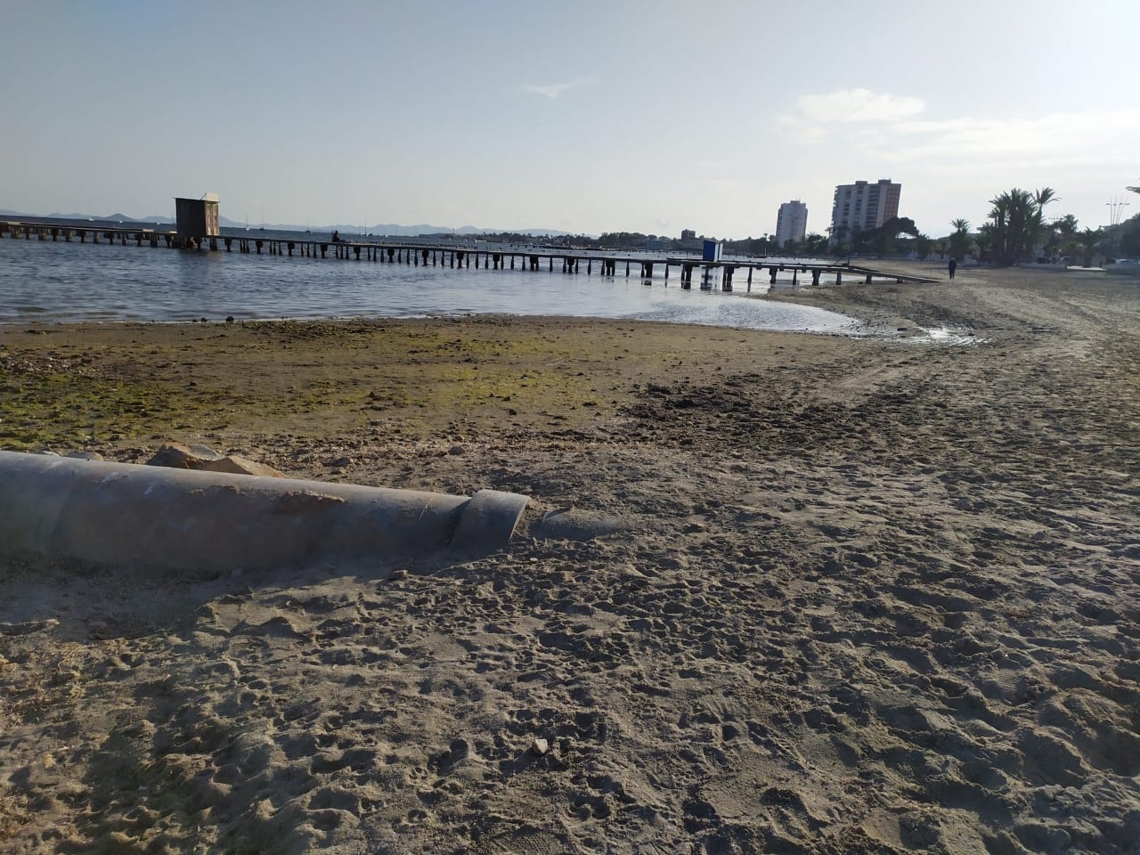 Vertidos al Mar Menor