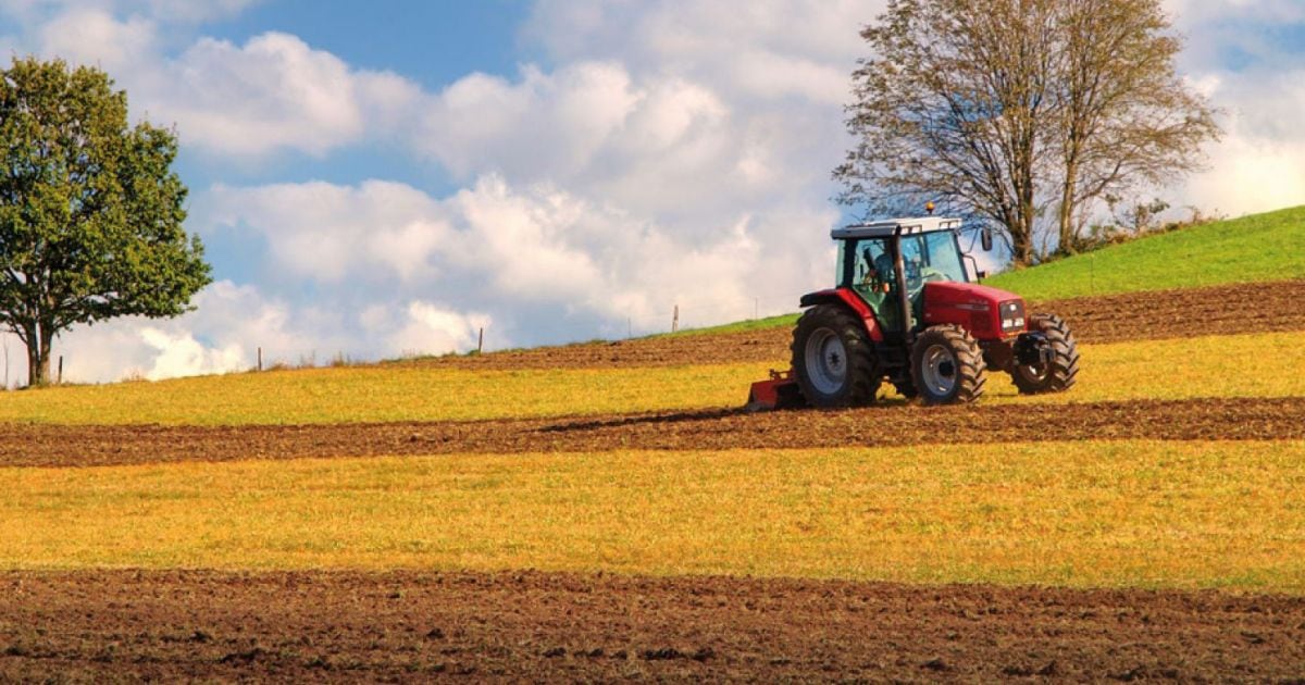 Cajasur, seguros agrarios