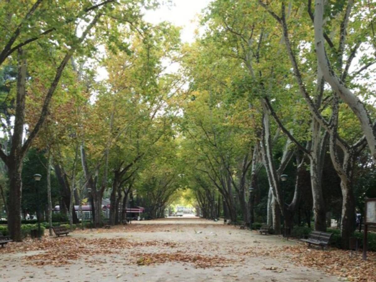 Albacete sigue en alerta por viento