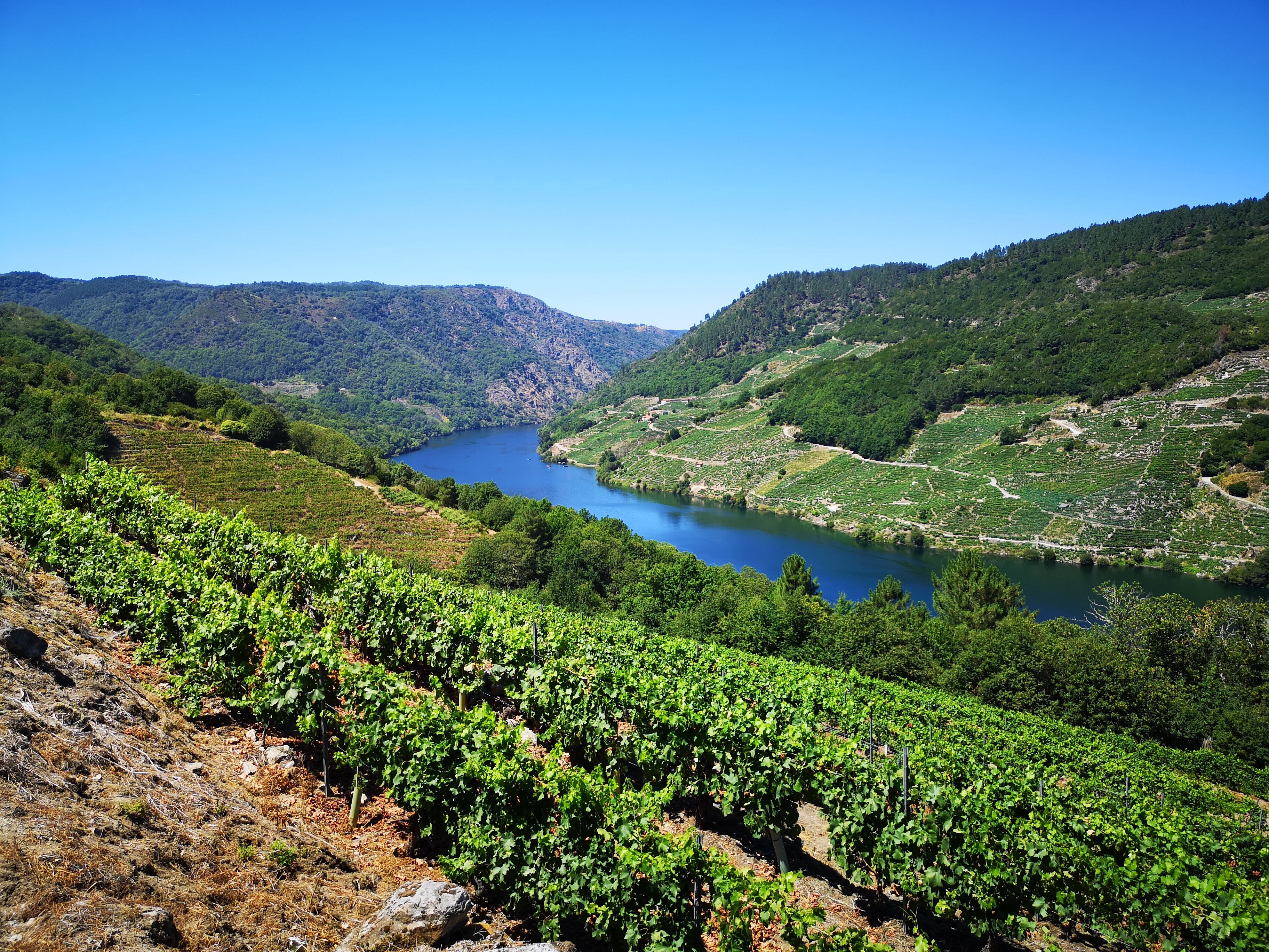 Ribeira Sacra.