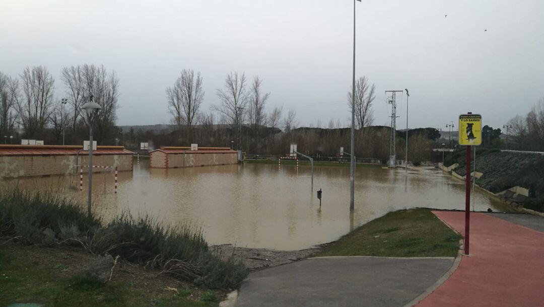 Estado en el que el temporal ha dejado el parque Ribera Sur de Palencia