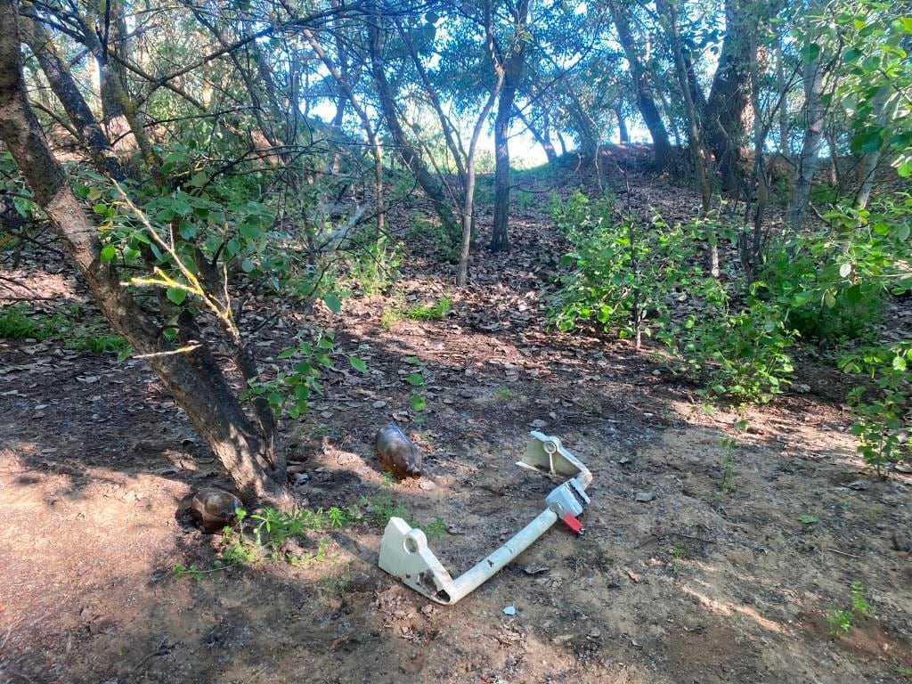 Basura en la orilla del río Henares