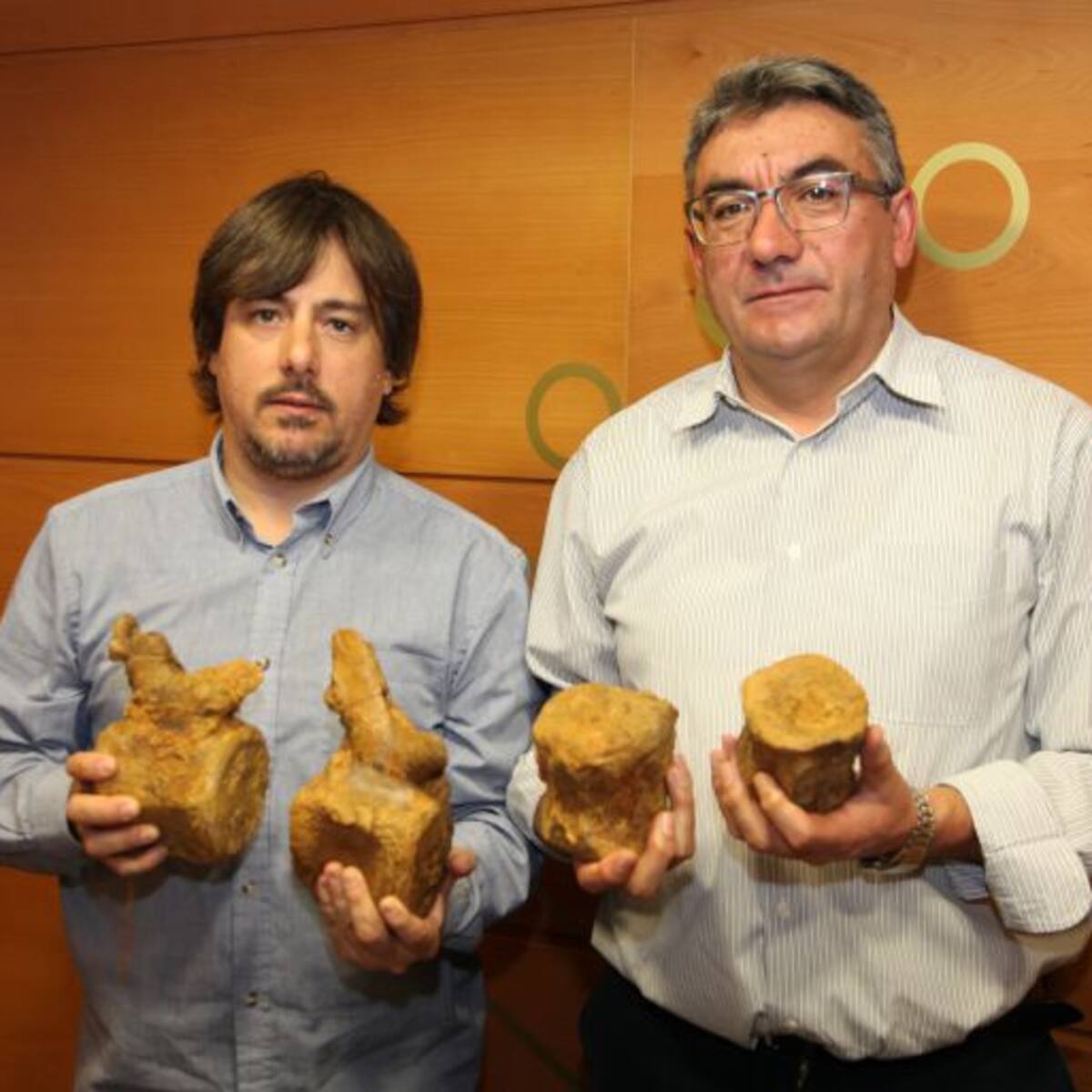 Localizan restos de un dinosaurio de hace 130 millones de años