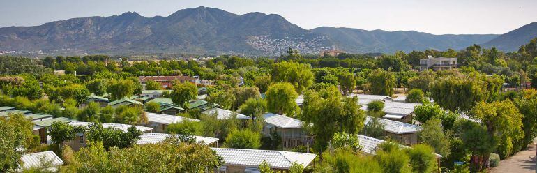 El sector confia repuntar aquest 2015.