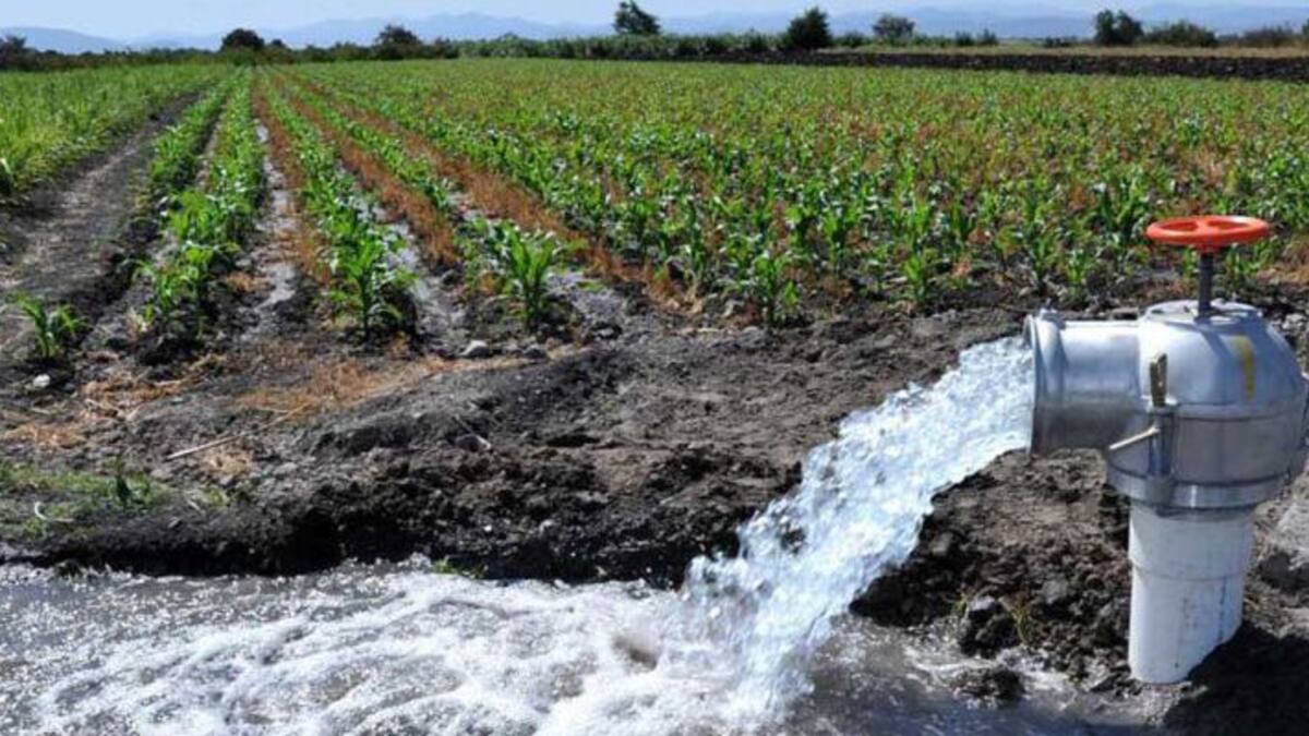 Los regantes albaceteños estudian alegar contra el recién aprobado Plan del Organismo de Cuenca del Júcar