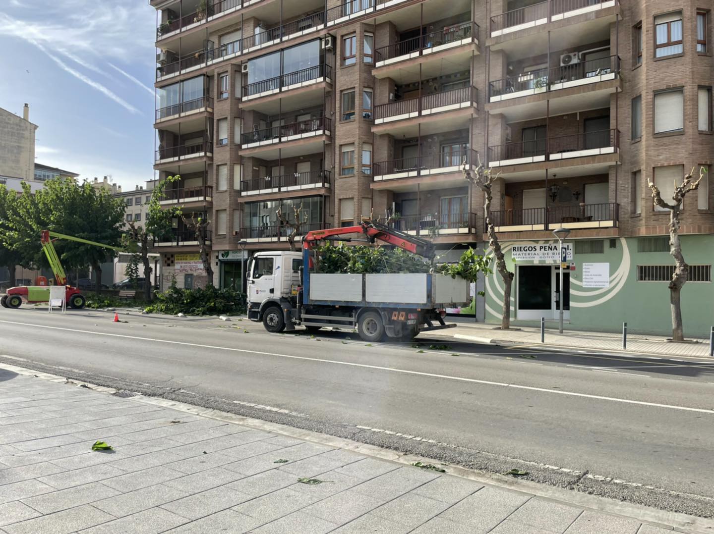 Servicios de jardinería y poda en Monzón